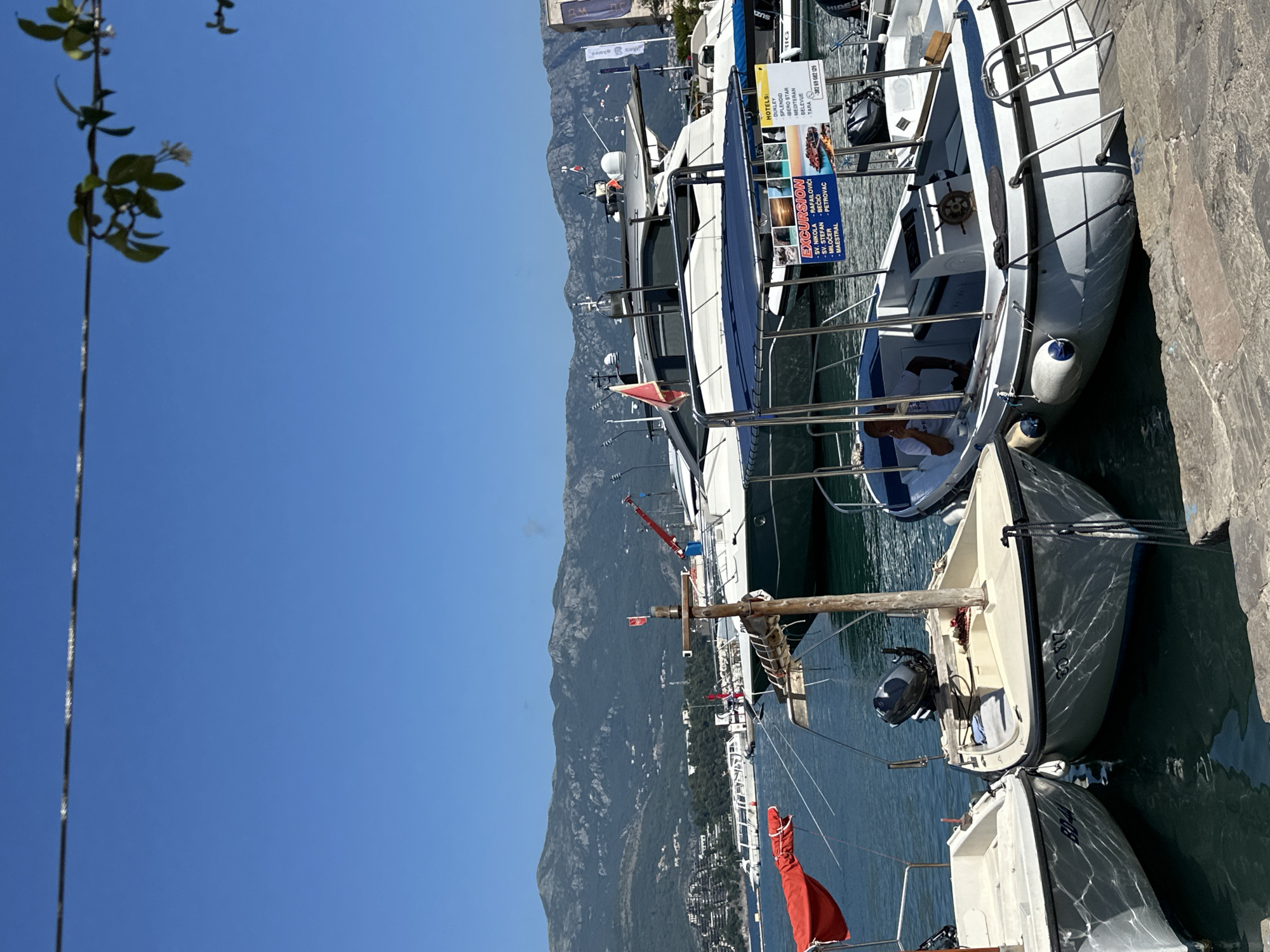 In Budva, Montenegro, a marina scene unfolds under a clear blue sky. Foreground boats include a small white vessel on the left with the marking "BD 44" and a tan-colored boat to its right, marked "BD 817". Both are moored to a stone quay. Behind these, a larger white boat with a blue canopy is docked, with a person seated inside. Further in the background, larger yachts are visible, including a prominent dark-hulled yacht with white upper structures. A tall, green-covered mountain range forms the backdrop, with buildings scattered across its lower slopes. A wire stretches across the top of the frame, with a few green leaves and a single white flower hanging from it. Several flags are displayed on the boats, including a red and white flag on a mast. Promotional posters are attached to the blue-canopied boat, advertising excursions and hotels. The water is calm, reflecting the sunlight.