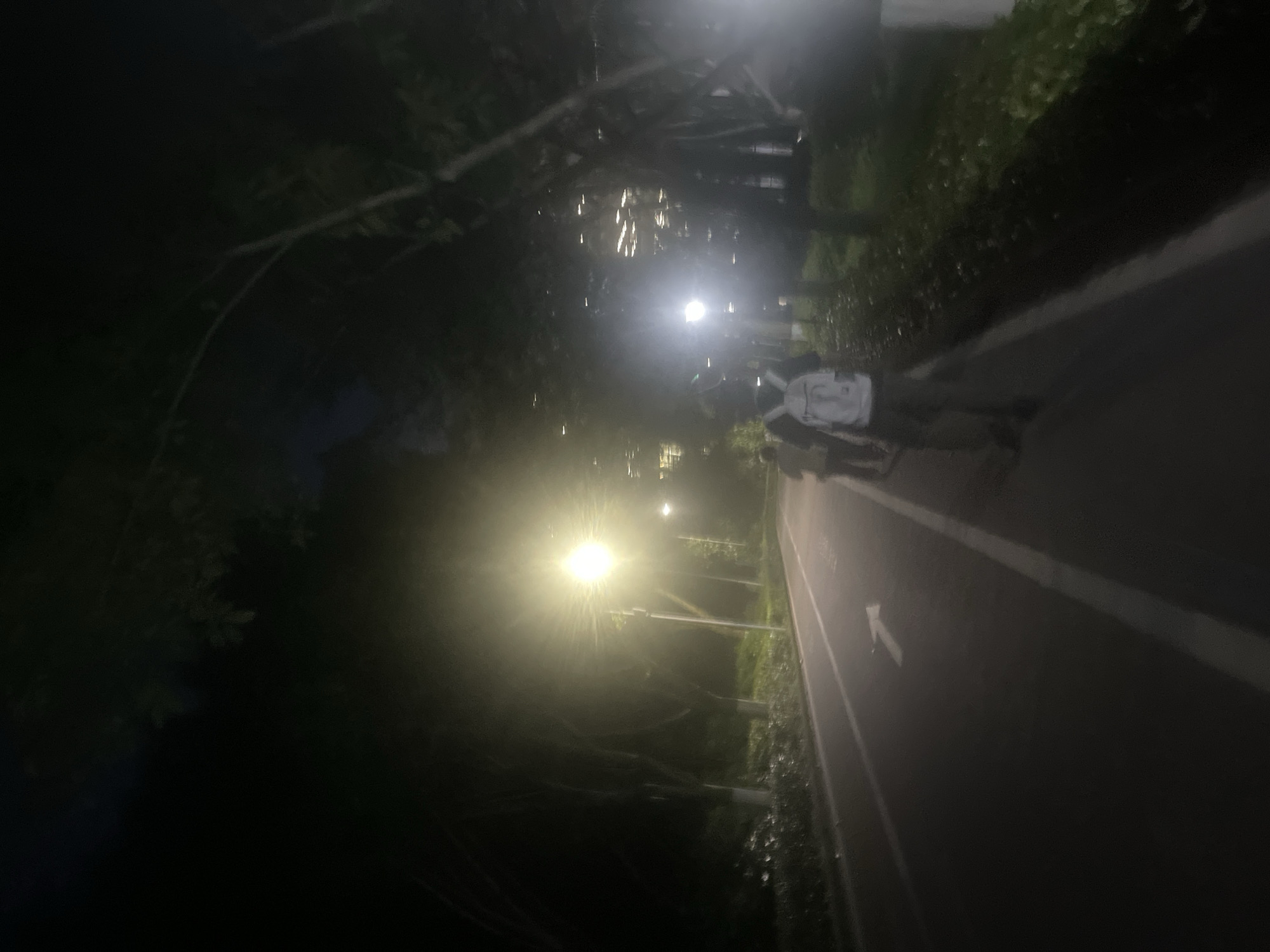 A night-time photograph depicts a group of people walking along a lit path. The path has a white arrow painted on it and is lined with trees and vegetation. Streetlights illuminate the scene. The image was taken in Chongqing High-tech Zone, China.