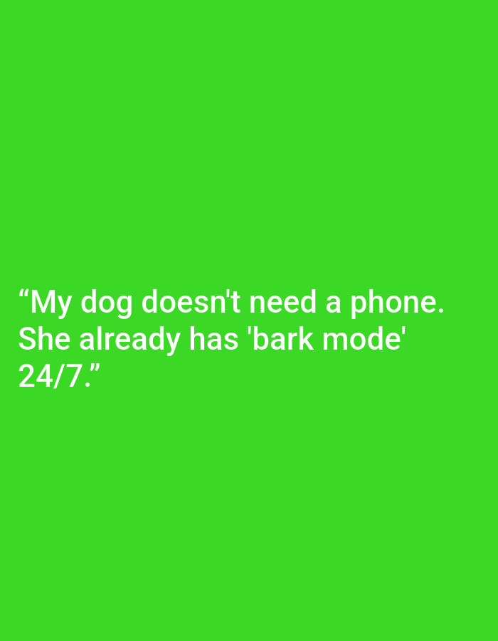 This is a media file featuring text on a bright green background. The text is white and reads: "My dog doesn't need a phone. She already has 'bark mode' 24/7." There are no people, objects, or scene elements visible beyond the text. The image does not provide any information about the time of day, weather, or specific location cues, other than the provided context of Kępno, Poland, which is not visually represented. The text itself conveys a humorous sentiment about dogs.