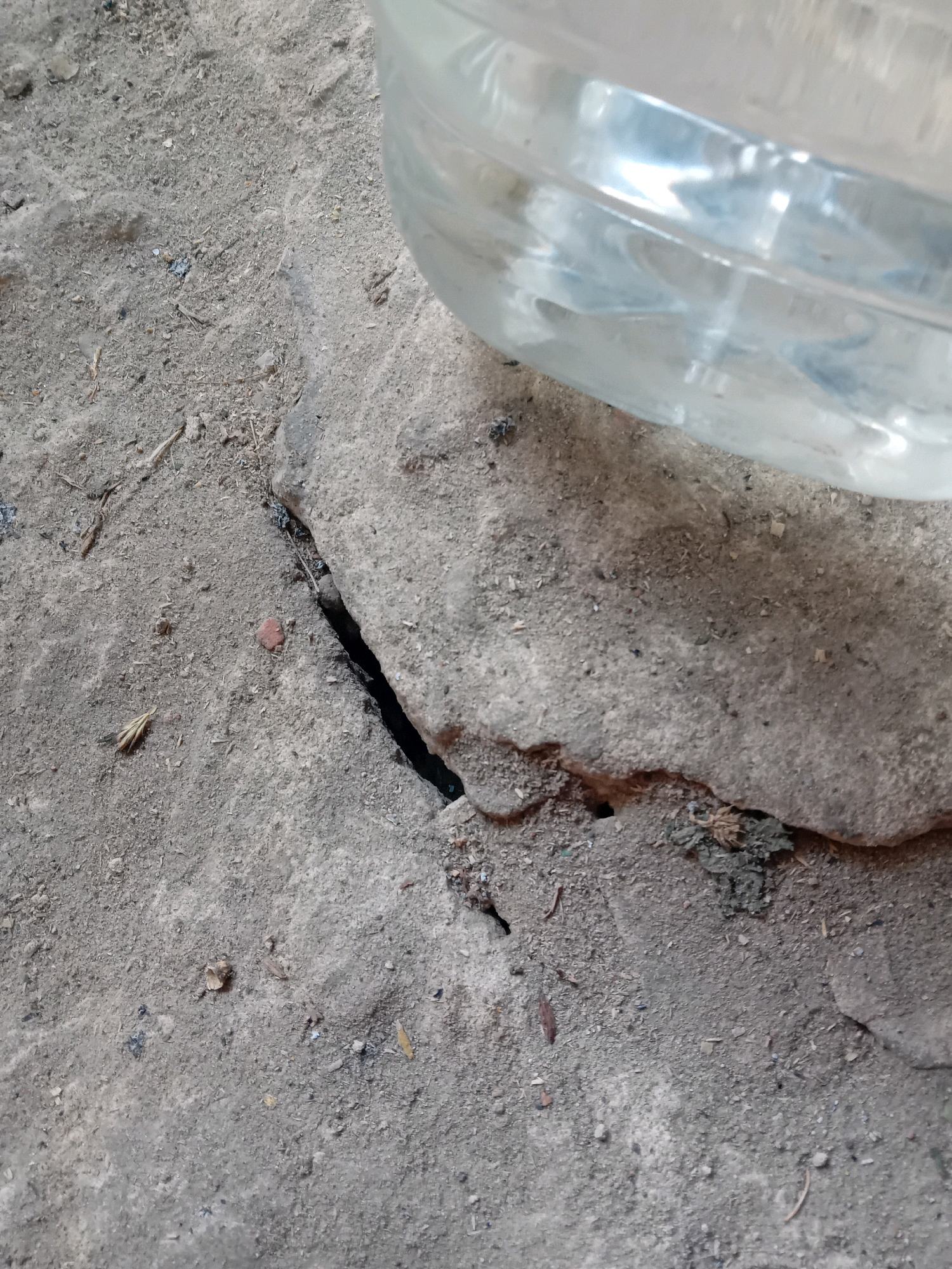 The image shows a close-up view of a cracked concrete surface with a portion of a clear plastic bottle filled with water in the upper right corner. The concrete is uneven and covered with small debris, including what appears to be dirt, small stones, and organic matter. A prominent crack runs horizontally across the concrete, with a smaller fissure branching off it. The lighting suggests it is daytime, with some shadows cast on the concrete. The scene is devoid of any people or discernible human activity, focusing solely on the textures and damage of the ground and the presence of the water bottle. No specific location in the city of Chuhuiv, Ukraine, can be determined from the visual information provided.