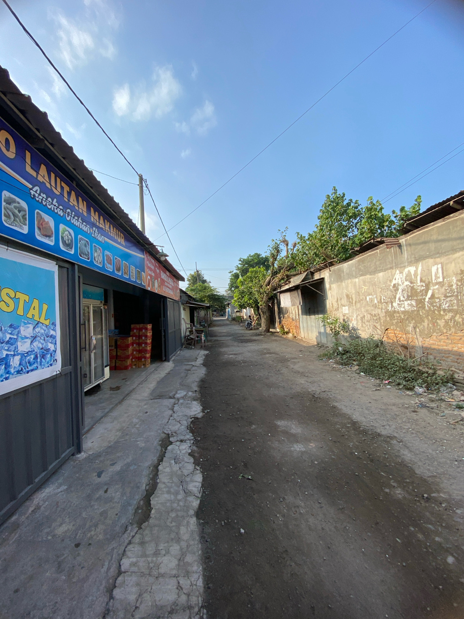 In Gurah, Indonesia, a narrow, unpaved alleyway is bordered by buildings on both sides. On the left, a business with a blue awning displays images of seafood and the text "LAUTAN MAKMUR Aneka Olahan Ikan". A large banner with the word "STAL" and images of ice cubes is affixed to the front of the building. Stacked boxes are visible inside the open storefront, and a refrigerator unit is also present. The ground in front of the building is paved with concrete, showing signs of wear and cracking.
On the right side of the alley, a weathered concrete wall is covered with graffiti. A few trees with green foliage grow along the top of this wall. Further down the alley, more structures and trees are visible, and the ground appears to be a mix of dirt and gravel. The sky above is a clear, pale blue with a few wispy clouds. The overall scene depicts a street in a local commercial area, possibly a market or small shops.