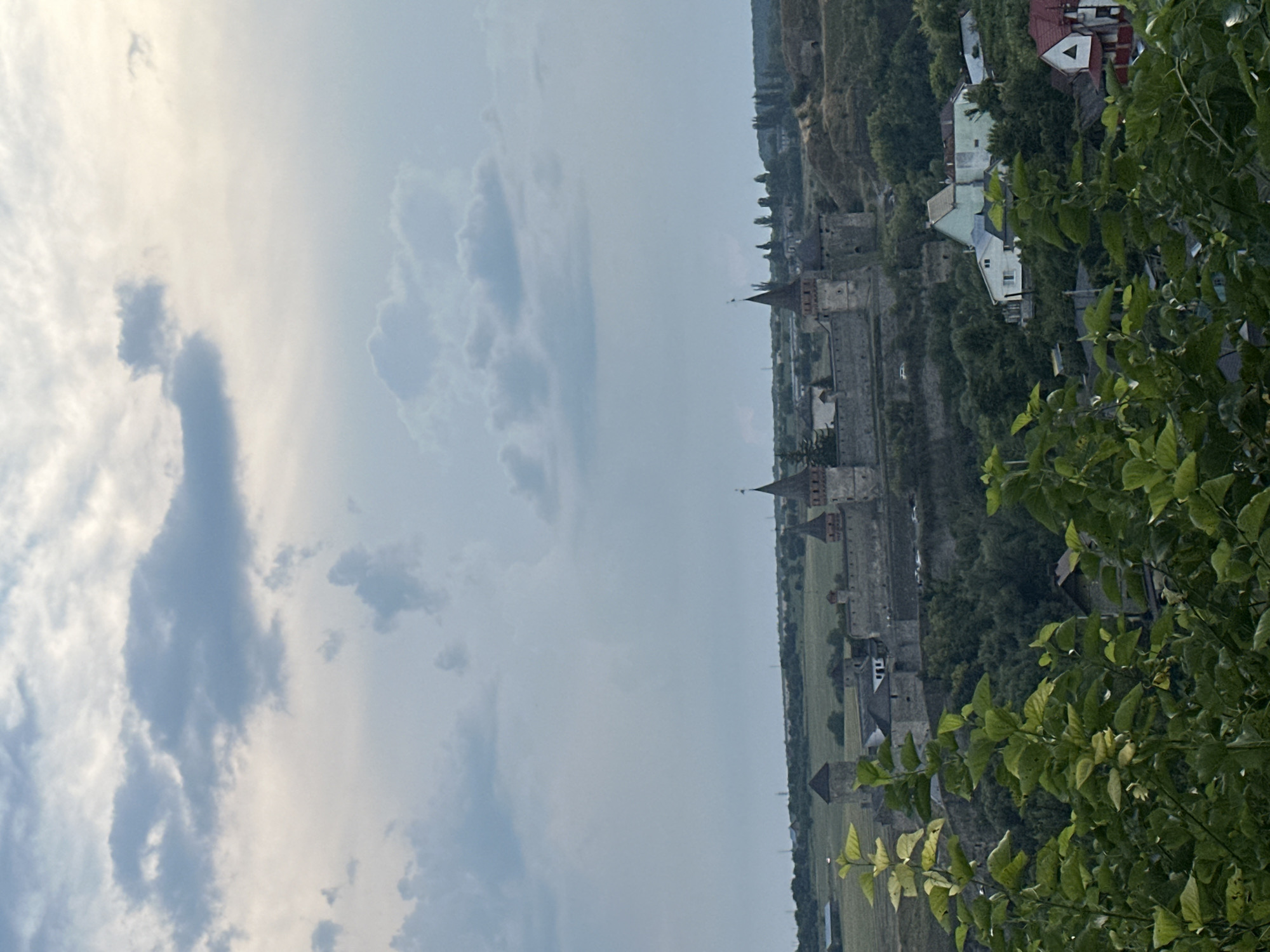 The image depicts a panoramic view of the Kamianets-Podilskyi Castle in Kamianets-Podilskyi, Ukraine, under a cloudy sky. In the foreground, lush green foliage dominates the lower portion of the frame, obscuring a portion of the view. Behind the foliage, the ancient stone fortress stands prominently on a hill. The castle features multiple towers with conical roofs, crenellated walls, and various structures within its complex.
Below and to the right of the castle, a small settlement with houses is visible, nestled amongst trees. Some houses have red-tiled roofs, while others are painted in lighter colors. The landscape surrounding the castle is hilly and covered with greenery, with some agricultural fields visible in the distance. The overall lighting suggests it is either early morning or late evening, with soft, diffused light characteristic of twilight conditions. There are no people or animals clearly visible in the image. The scene is static and serene, capturing the historical architecture against a natural landscape.