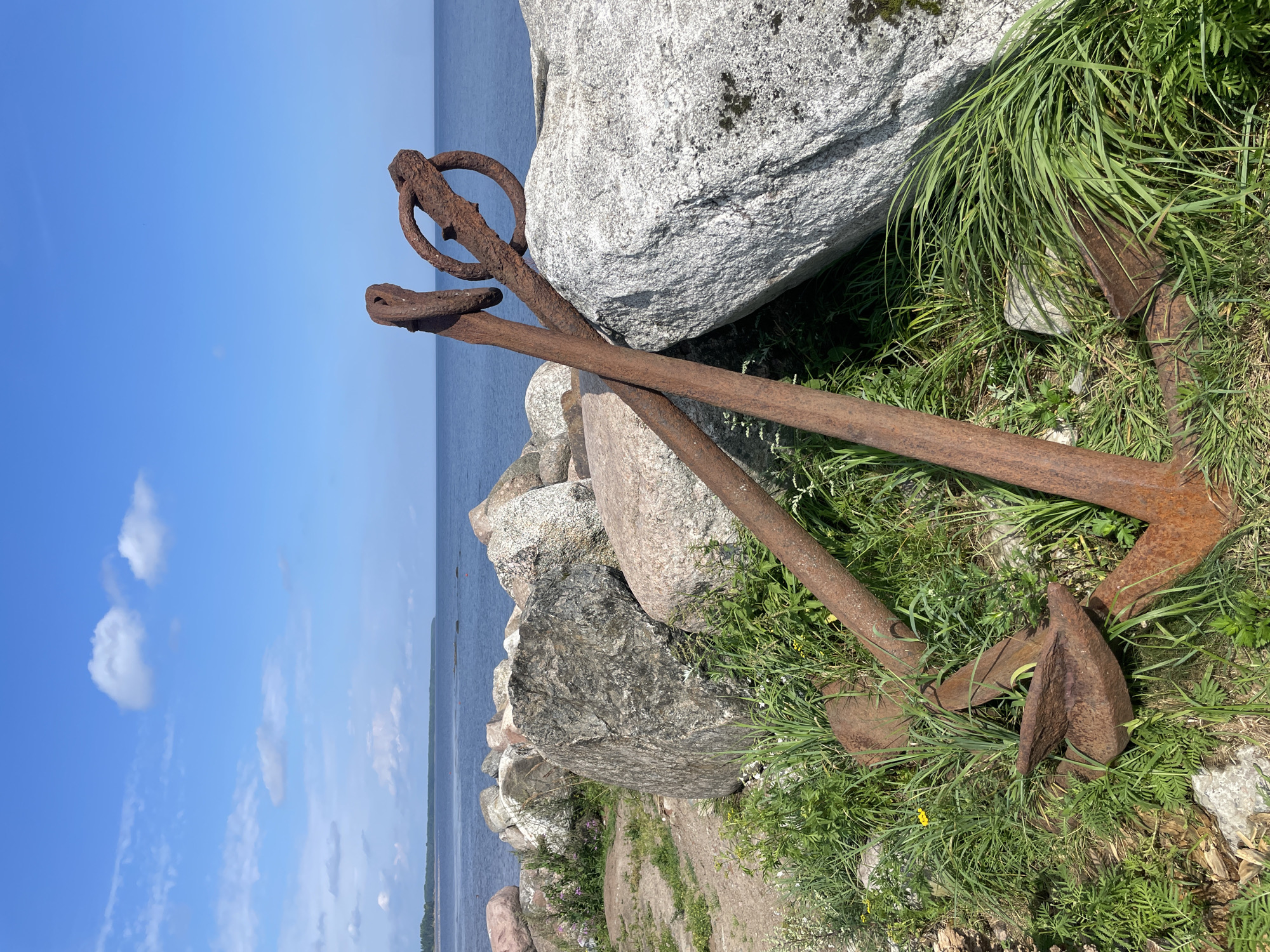 Two large, rusty anchors are propped against a pile of large, grey boulders on a grassy shoreline. The anchors appear old and weathered, with significant signs of rust and decay. The scene is set against a backdrop of the deep blue Ladozhskoe Ozero, Russia, with a clear blue sky overhead dotted with a few white clouds. The water is calm, and the shoreline is rocky and covered with green grass and some small wildflowers. The overall impression is one of rugged natural beauty combined with remnants of maritime history.