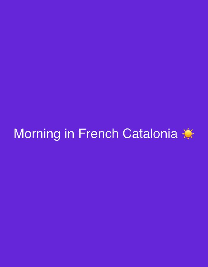 The image shows a solid purple background with the text "Morning in French Catalonia ☀️" in white, centered horizontally and vertically. There are no people, objects, or environmental details present except for the sun emoji. There is no information within the image to identify the city of Rodès, France.