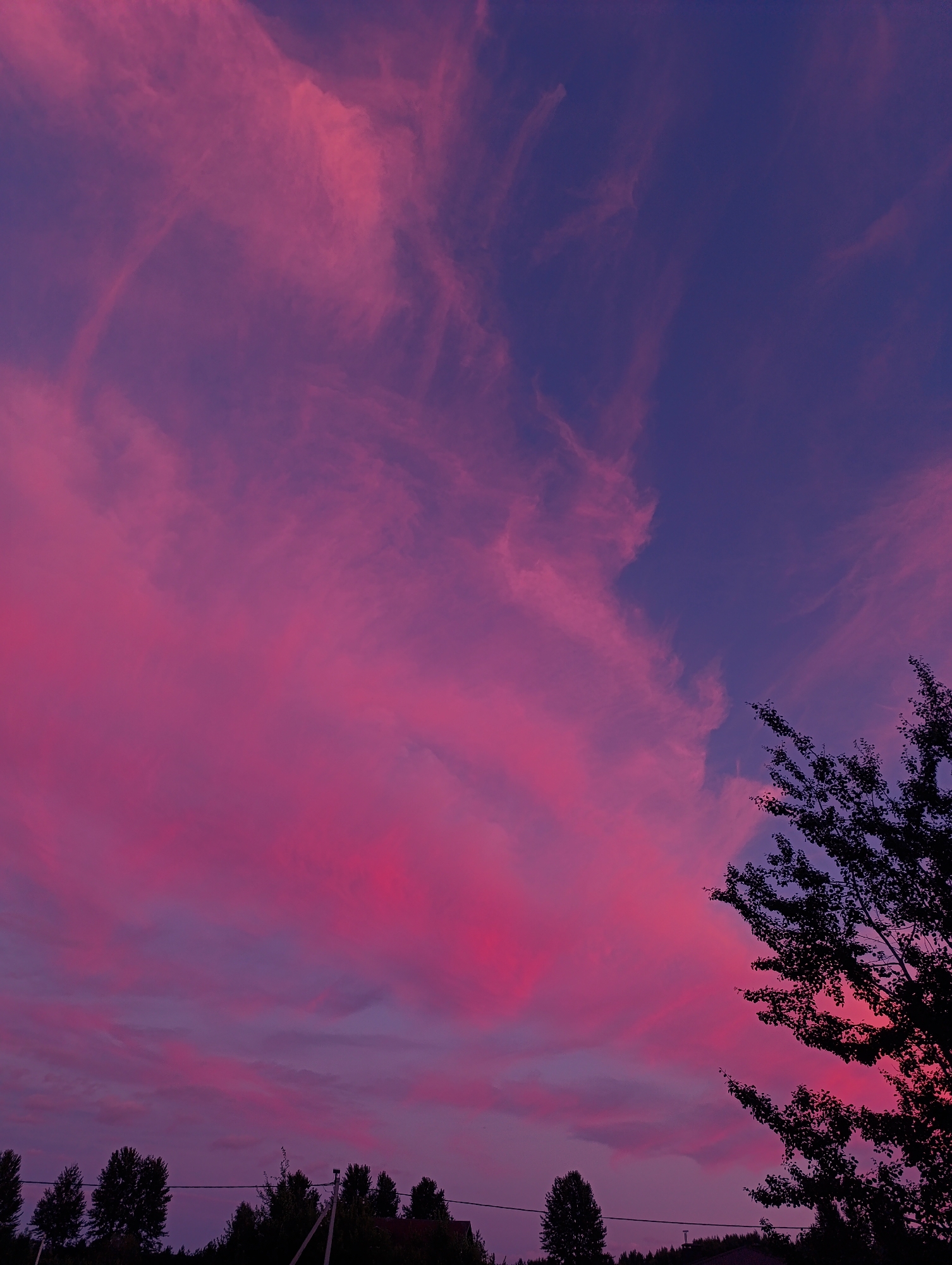 A vertical, wide shot captures a vibrant sunset sky. The sky is a gradient of deep purple to bright pink, with wispy clouds streaking across. The lower portion of the image shows a silhouette of trees and a few houses against the colorful sky. The overall impression is one of a tranquil, natural setting at dusk.