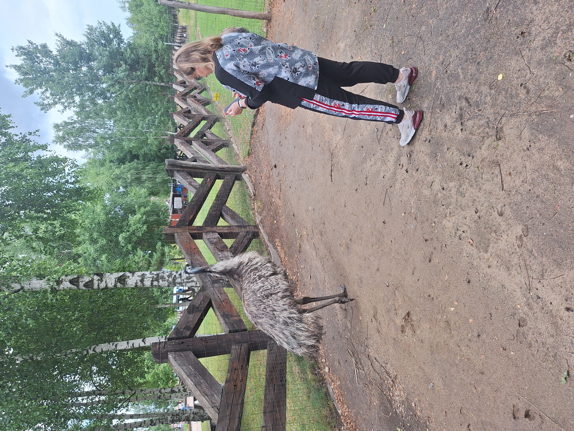In the city of Malakhovetski Sel'ski Sovet, Belarus, a person stands near a wooden fence, looking at their phone. To the left of the fence, an emu stands on a dirt path. The emu is facing the person, and the person is holding something small in their hand, possibly food. The background consists of trees and a cloudy sky.