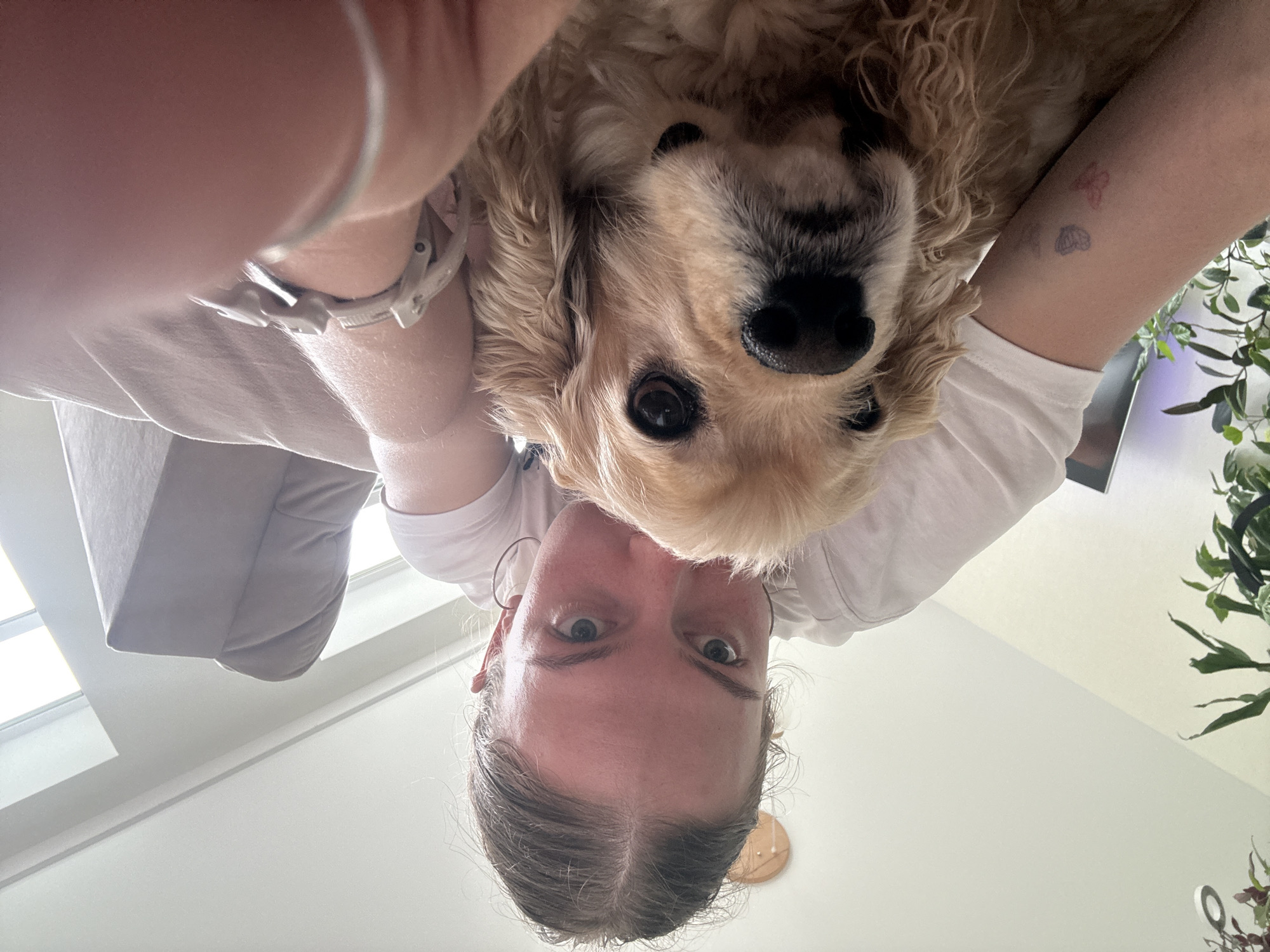 An overhead, close-up, low-angle selfie shows a light-skinned person with their face close to a light brown Cocker Spaniel dog. The person is wearing a white t-shirt and has their hair pulled back. They are wearing hoop earrings. On the person's left arm, there are two small butterfly tattoos. The dog is looking directly at the camera with dark eyes and a black nose. The person's right arm is visible, and they are wearing a watch and a silver bracelet. The background appears to be an indoor setting with a couch and some houseplants. There are no visible elements that indicate the specific location in the city of Perm, Russia.