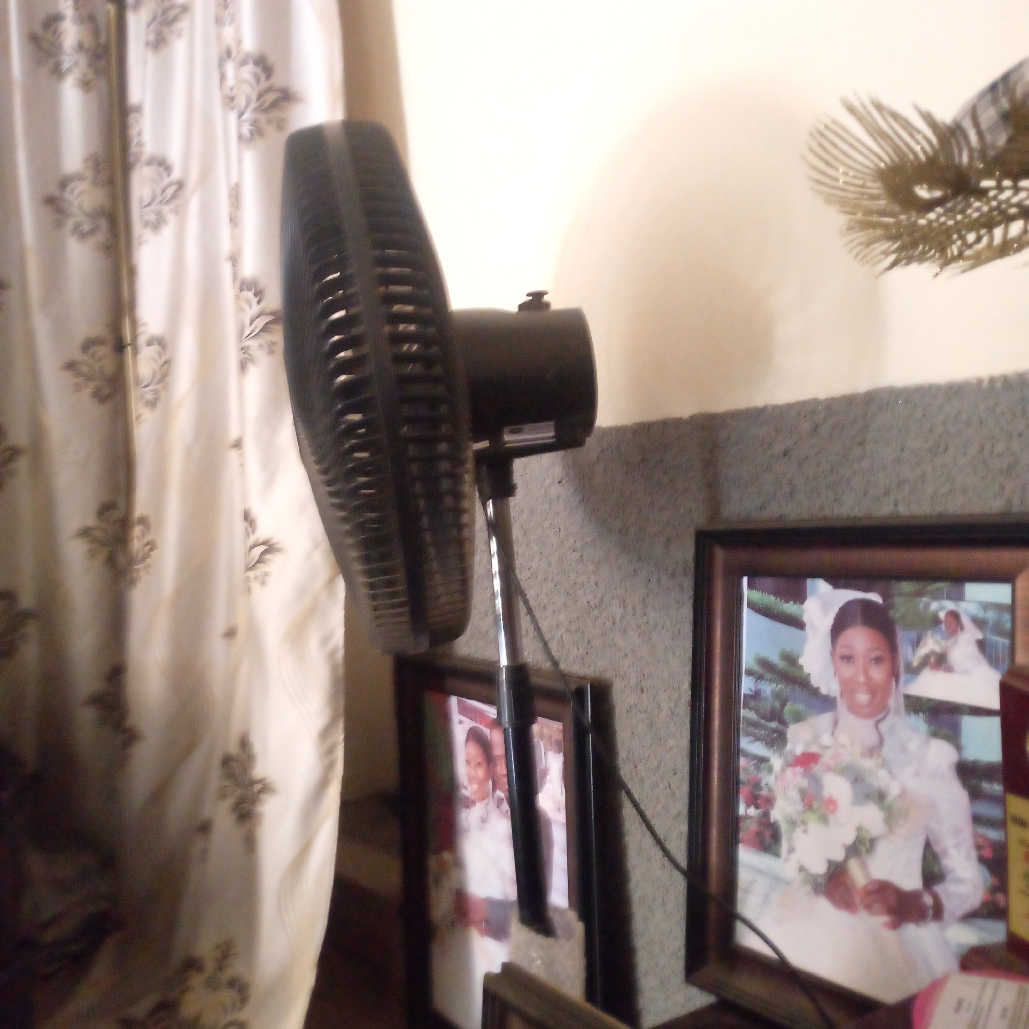 The image shows an indoor scene featuring a standing electric fan obscuring wedding photos. The fan, dark in color, is positioned between a curtain with a floral pattern on the left and a wall to the right, on which the framed photos are placed. The photos depict a woman in a white wedding dress holding a bouquet. Other objects are partially visible, including what appears to be a decorative piece on the wall and additional framed photos behind the fan's stand. The location is Unknown, Unknown.