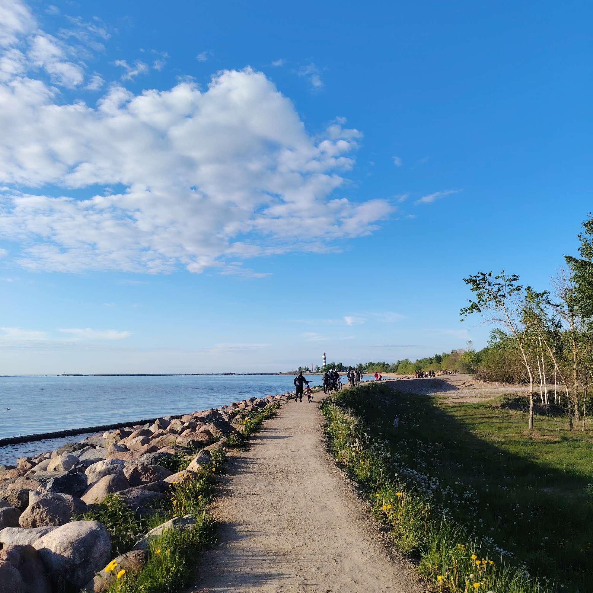 The image depicts a dirt path running alongside the sea, lined with rocks on one side and grassy vegetation on the other. A group of people, some on bicycles, are walking along the path toward the horizon. In the background, a lighthouse is visible in the distance. The sky is blue with scattered clouds. Based on the lighthouse and coastal landscape, it is highly probable this image was taken in Riga, Latvia, most likely along the sea coast. The scene portrays a recreational area used by people for walking and cycling.
