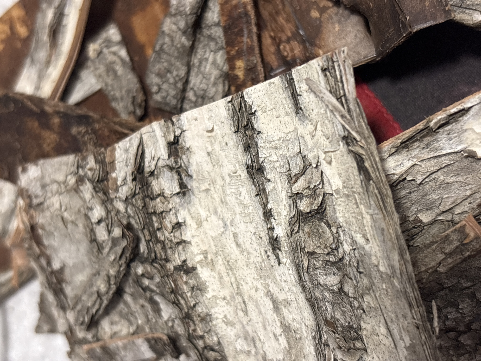 The image shows a close-up of bark pieces, likely birch bark, with varying shades of gray and brown. The bark has a rough, textured surface with ridges and crevices. The arrangement suggests a pile or a collection of bark pieces. A small section of red fabric is visible. The location, Perm, Russia, is not discernible from the image.