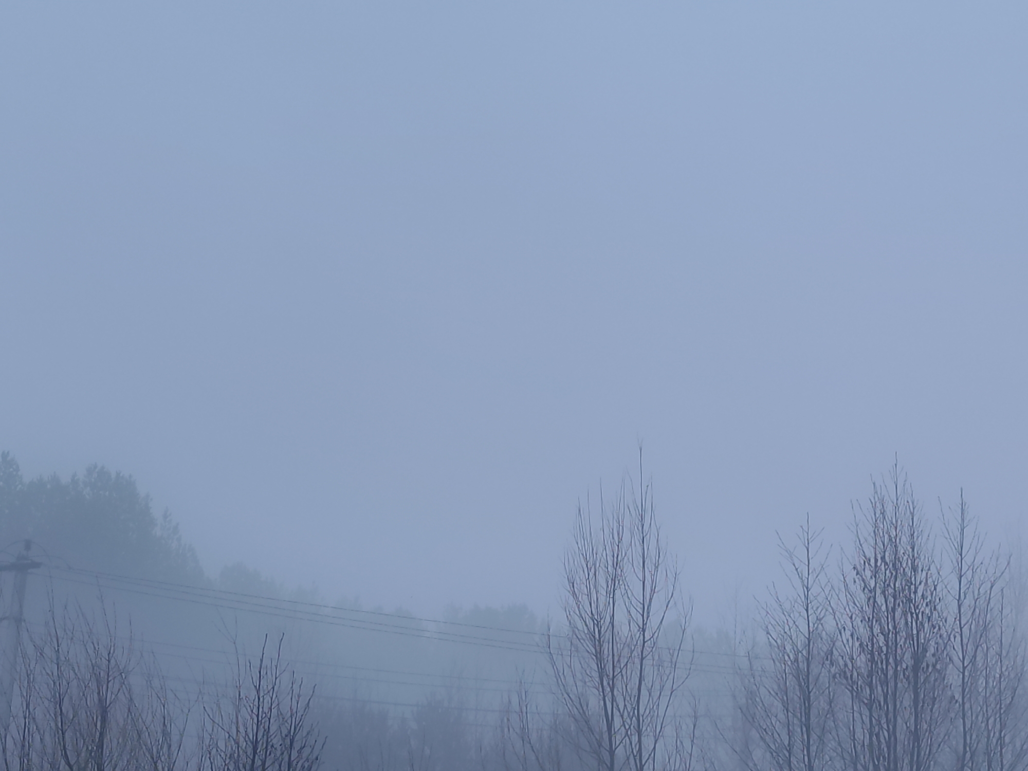 The image depicts a hazy, overcast scene in Chaikovsky, Russia. Bare trees and shrubs are visible in the foreground, with a dense line of trees shrouded in fog in the background. Power lines run horizontally across the middle of the frame. The overall color palette is dominated by shades of gray and blue, creating a muted, atmospheric effect.