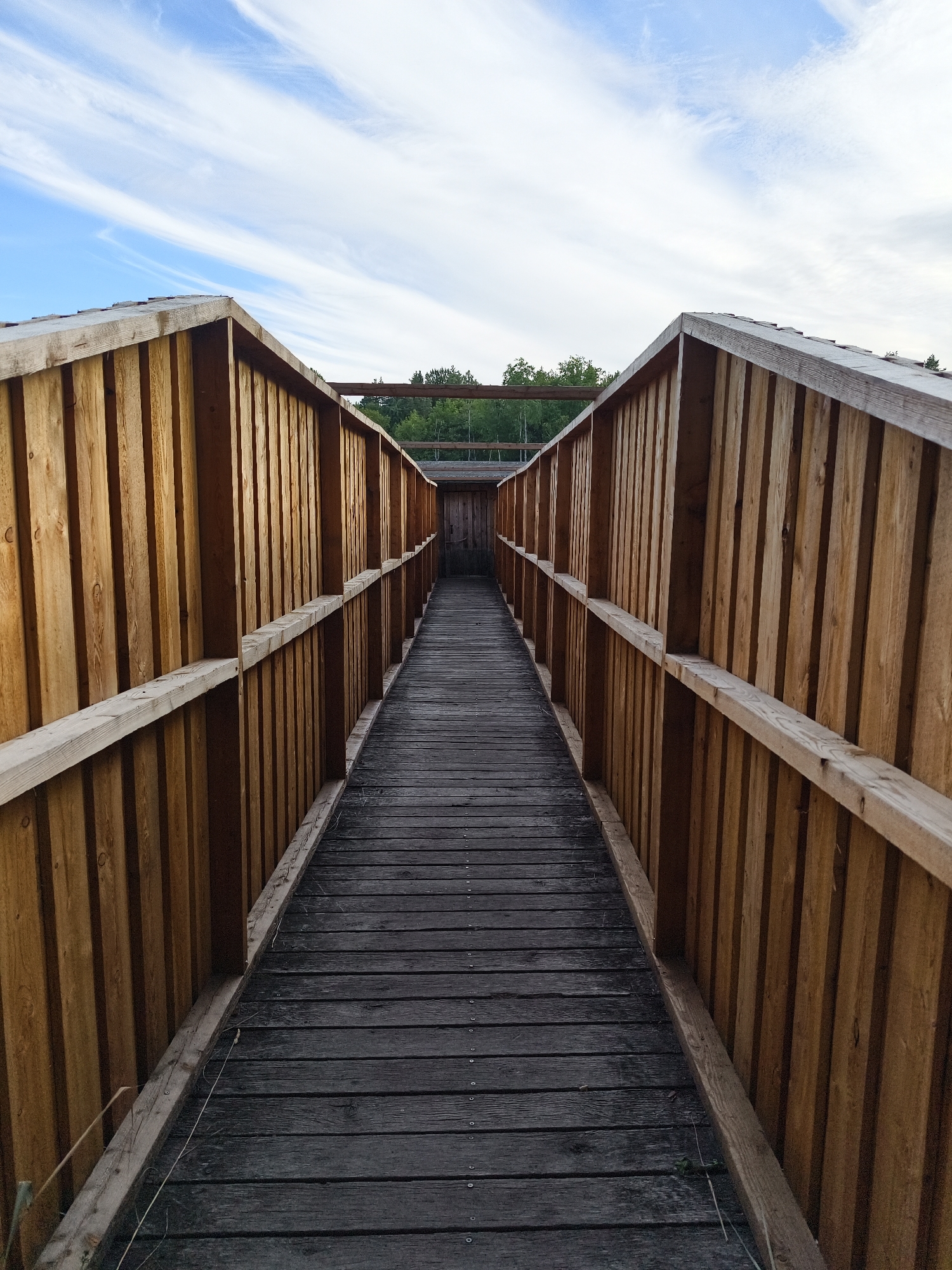 The image depicts a wooden walkway, possibly part of a boardwalk or an elevated path, leading towards a distant structure. The walkway is flanked by tall, vertical wooden planks that form walls on either side, creating a symmetrical perspective. The planks are a warm, natural wood color, and some appear weathered. The walkway itself is constructed from dark, horizontal wooden planks, showing signs of wear and tear. In the background, trees and a sliver of a building are visible, suggesting a natural or park-like setting. Above, the sky is a vibrant blue with wispy white clouds, indicating daytime. The scene appears to be outdoors, in a tranquil environment, possibly in the city of Slaka, Sweden, given the prompt's context. There are no people or animals visible in the image.