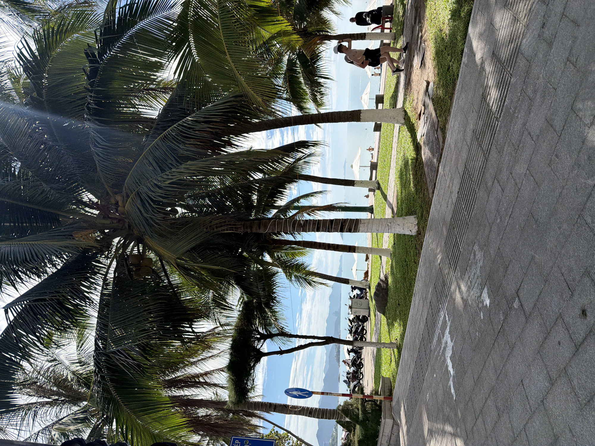 This is a vibrant daytime photograph of a coastal promenade in Nha Trang Ward, Vietnam, bathed in bright sunlight and featuring palm trees, a paved walkway, and the sea.
In the foreground, a wide, grey paved path with interlocking tiles stretches across the lower right portion of the frame. Strong, intricate shadows from nearby palm trees fall across its surface. Adjacent to the path, a strip of well-maintained green grass extends towards the left.
Numerous tall palm trees dominate the central and left parts of the image, their lush green fronds reaching upwards. Shafts of sunlight filter through the dense foliage in places. Several palm trunks are distinctly painted white at their bases. Between the path and the sea, a line of motorbikes is parked on the grassy area or a similar surface, suggesting local transport or visitors.
Beyond the palm trees and grassy area, a sandy beach is visible, dotted with several white beach umbrellas. Further out, the calm blue sea extends to the horizon, where distant landmasses or mountains create a hazy backdrop against the bright, partially cloudy sky. Several people can be seen along the path and near the beach, some walking or standing, enjoying the coastal environment. Two individuals are clearly visible on the paved path in the mid-right, appearing to be walking.
Visible details include a blue circular pedestrian crossing sign mounted on a pole, and a partial blue sign near the bottom left with the text "KÉP" discernable. The weather appears sunny and clear, typical of a tropical setting.