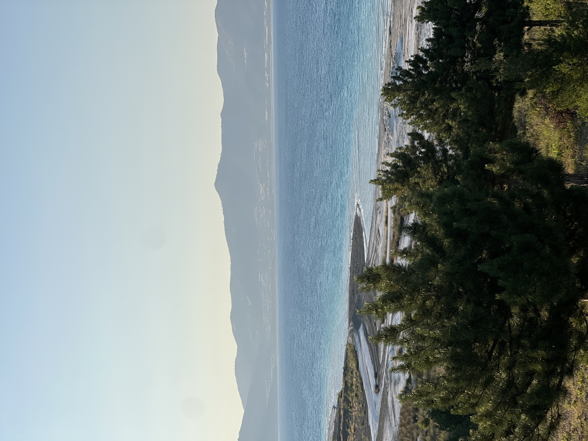 A wide shot captures a serene landscape in Yeşilova, Turkey, featuring a body of water that transitions from a bright turquoise near the shore to a deeper blue further out. The water is calm, with subtle ripples visible on the surface. A light-colored, sandy or mineral-rich shoreline stretches along the water's edge, marked by winding patterns, possibly from receding water or sediment deposits. In the foreground, a dense cluster of dark green pine trees dominates the lower portion of the frame, with their branches reaching upwards. The ground beneath the trees is covered in dry grass and scattered debris. In the distance, a range of hazy, mountainous terrain rises behind the lake, with a faint impression of a town or settlement nestled against the slopes. The sky above is a pale, clear blue, fading to a lighter hue near the horizon, suggesting it may be early morning or late afternoon. No people or animals are visible in the scene.