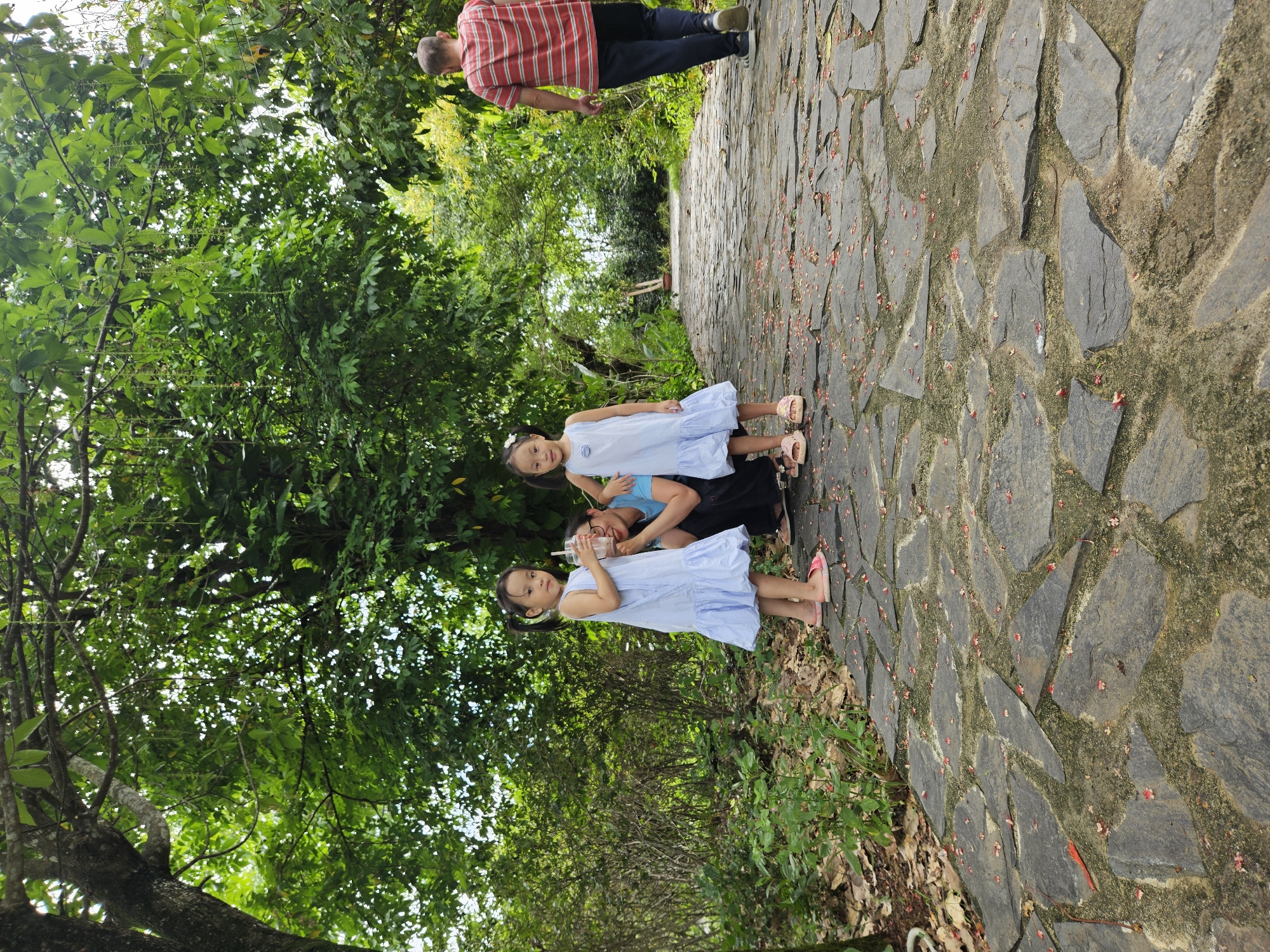 A family is walking on a stone path in a park with lush green trees and foliage. Two young girls in light blue dresses are posing for a picture, one of them holding a cup with a straw. An adult, likely their parent, is crouching behind them, looking at the camera. Further down the path, a man in a red and white striped t-shirt and dark pants is walking away from the camera. The path is made of irregularly shaped stones and is covered with scattered red flower petals. The scene appears to be in a public park in the city of Đà Nẵng, Vietnam.