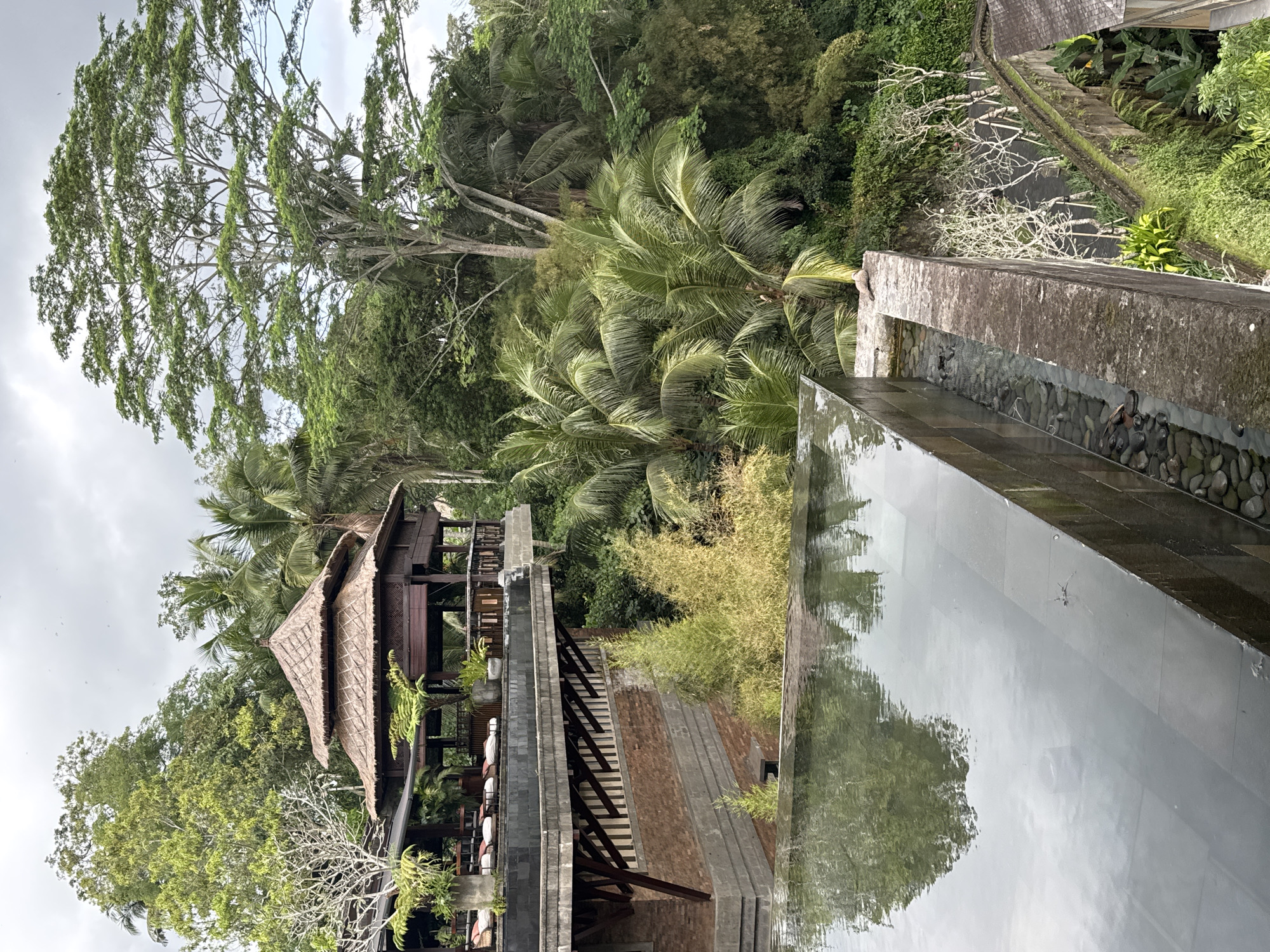 This image captures a serene outdoor scene, likely at a resort in Ubud District, Indonesia. In the foreground, a dark-tiled infinity pool reflects the overcast sky and the lush surrounding vegetation. The pool's edge is lined with stone, and a narrow channel of water with visible pebbles runs alongside it. Behind the pool, a multi-level building with a traditional thatched-roof pavilion is nestled amidst dense tropical greenery. The building features exposed brickwork and wooden architectural elements. Several lounge chairs are visible on a raised terrace. The background is dominated by tall trees, including palm trees and a large canopy tree, characteristic of the region's rainforest environment. The overall impression is one of tranquility and integration with nature. There are no people or animals prominently visible in the frame.