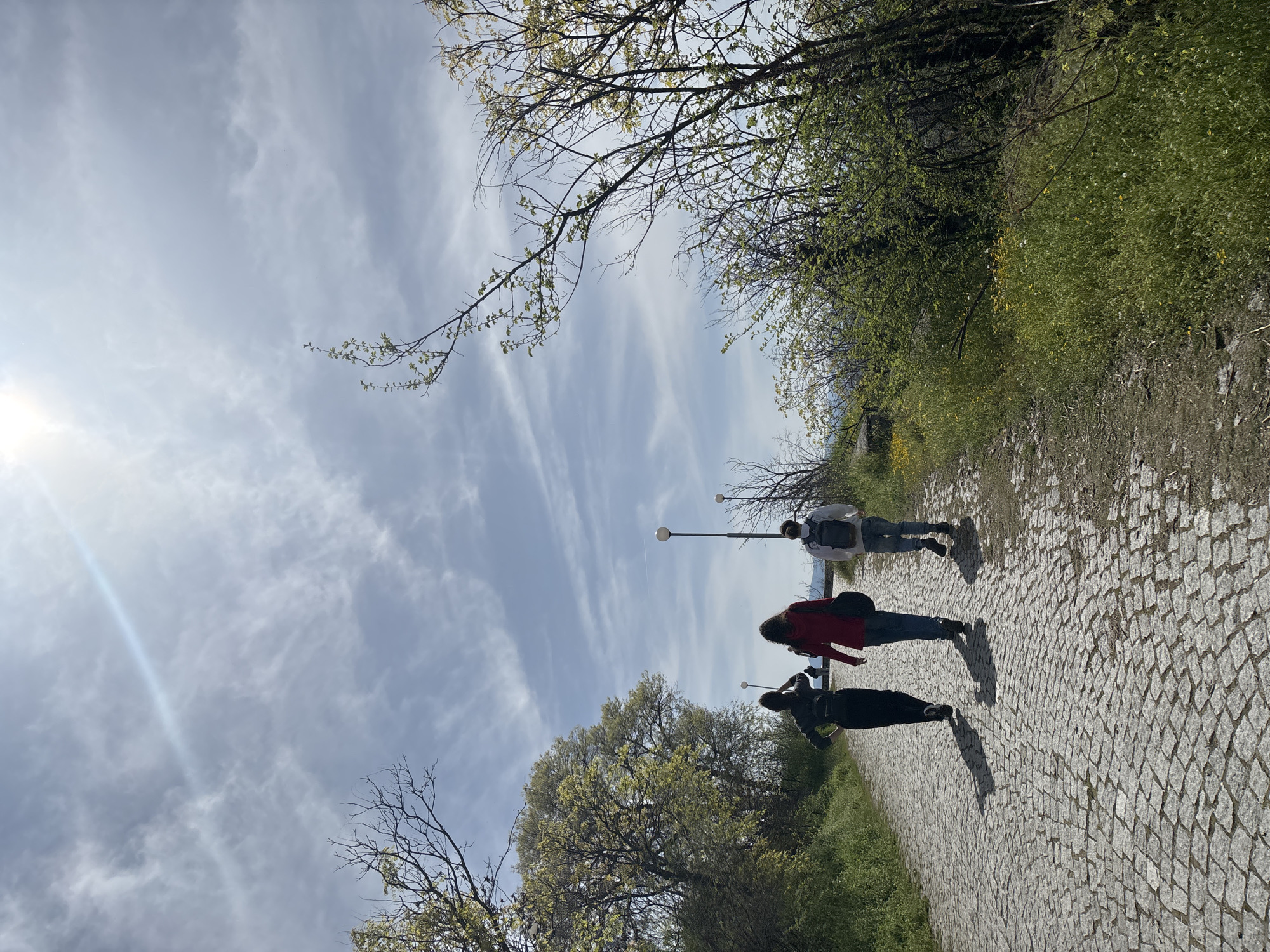 The image depicts an outdoor scene on a sunny day, likely in a park or scenic area of Plovdiv, Bulgaria. Three individuals are walking away from the camera along a wide path paved with grey cobblestones.
In the foreground, a person dressed in dark clothing casts a long, distinct shadow on the path. Mid-ground, another individual in a red jacket and blue jeans also walks away, their shadow stretching forward. Further in the distance, a third person is visible, wearing a light-colored jacket or backpack.
The path is bordered by abundant greenery. On the right, a slope covered in dense green foliage with scattered yellow flowers rises. On the left, trees with early spring leaves and bare branches frame the view. The sun is prominently featured in the upper left corner, creating a noticeable lens flare and indicating a bright day. The length and direction of the shadows suggest it is either morning or late afternoon.
The sky is bright blue with scattered white, wispy clouds. Two street lamps are visible along the path in the background. No discernible text is present in the image. The overall atmosphere suggests a leisurely stroll in a pleasant environment.