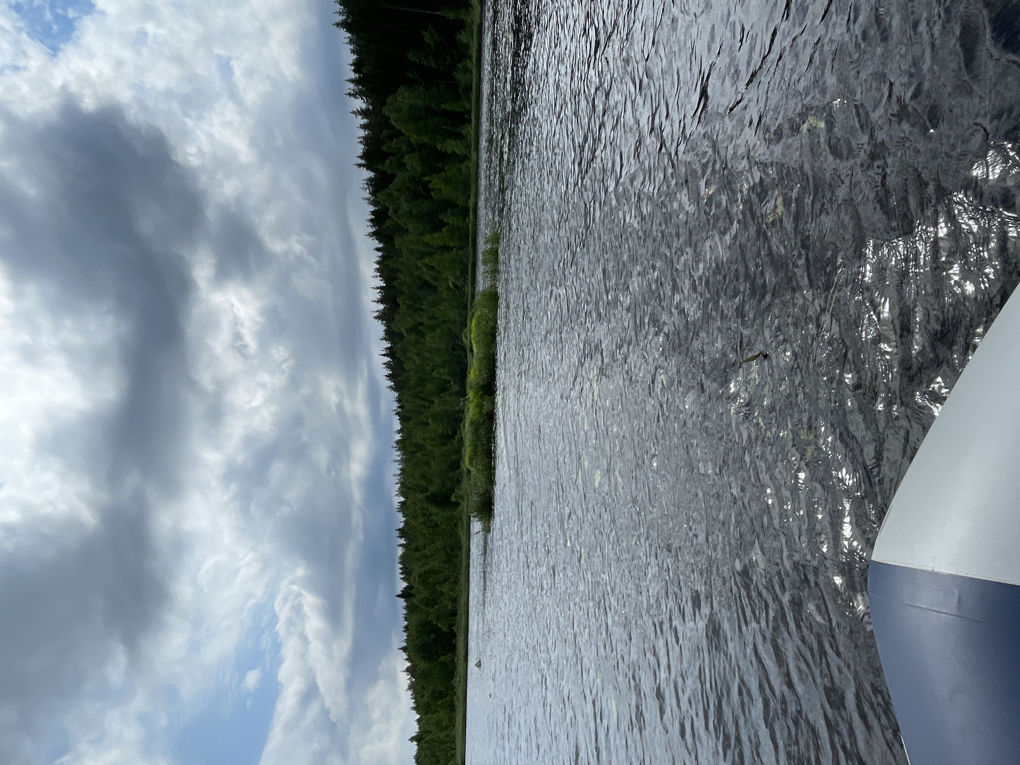 The image depicts a serene natural scene, likely taken from a boat on a body of water. The foreground shows the edge of a grey and white inflatable boat, partially submerged in dark, rippling water. The water's surface reflects the overcast sky, creating a textured, shimmering effect.
In the middle ground, a small, lush island or a patch of vegetation breaks the expanse of water. Beyond this, a dense forest of dark green evergreen trees lines the distant shore, forming a solid wall of foliage against the horizon.
The sky above is filled with dramatic, heavy clouds, ranging from dark grey to lighter white and blue patches, suggesting a partly cloudy or potentially stormy day. There are no people visible in the image, and no actions or interactions are depicted. The overall environment is one of quiet, untamed nature. While the location is stated to be Roshchino, Russia, this detail cannot be visually confirmed from the image itself.