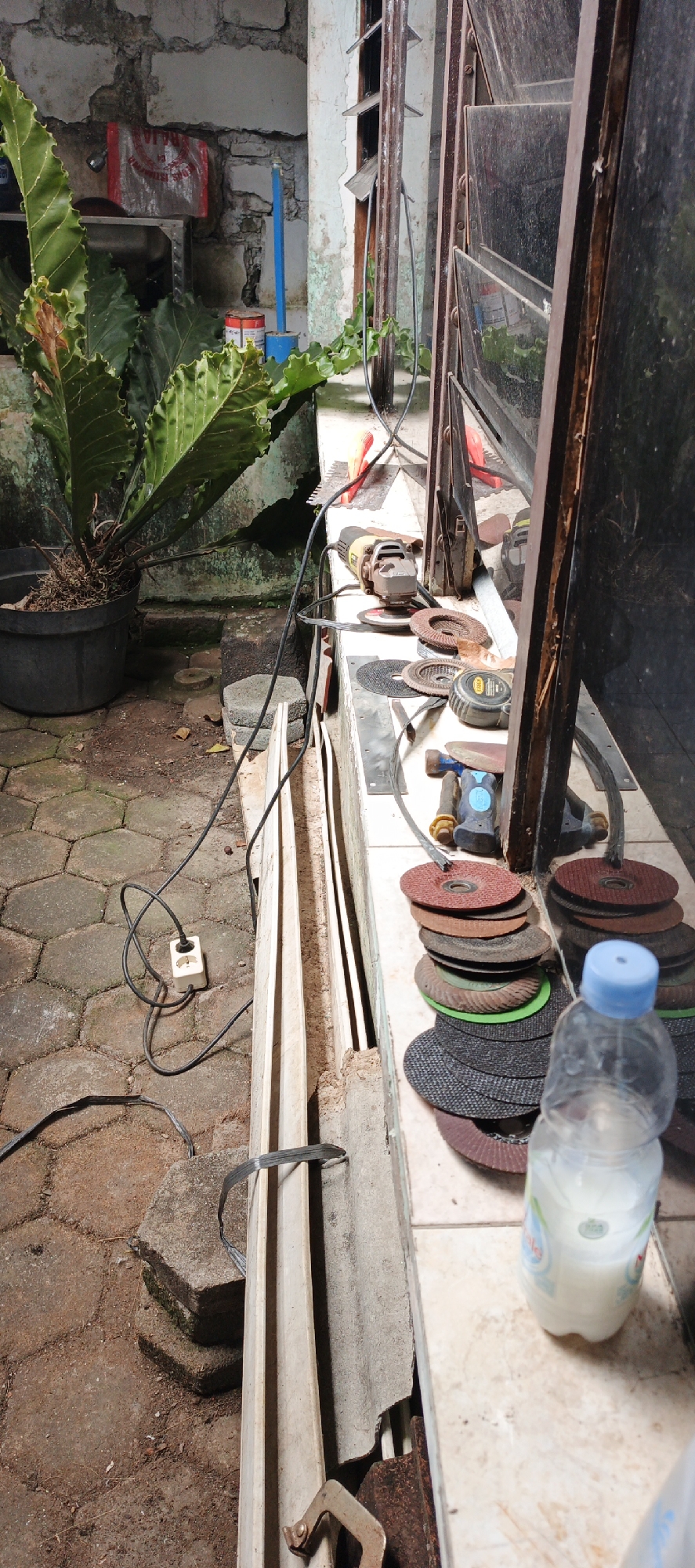 In a cluttered outdoor workshop area, possibly located in Moyudan, Indonesia, a collection of tools and materials is visible. The scene is dominated by a large, leafy green plant in a dark pot situated on a stone-paved ground. A white electrical outlet with a black cord is connected to a power source, with the cord trailing across the paving stones.
On a ledge or workbench, an angle grinder with a cutting disc is positioned next to a stack of various grinding discs, including red, black, and green ones. Other tools, such as a tape measure and what appears to be a hammer with a blue handle, are also present. A partially filled plastic bottle of white liquid, possibly milk or water, with a blue cap sits on the right side of the ledge.
The background features a rough, textured stone wall and a rusty metal window frame with louvers. The overall impression is one of an active but somewhat disorganized workspace, suggestive of ongoing construction or repair activities.
