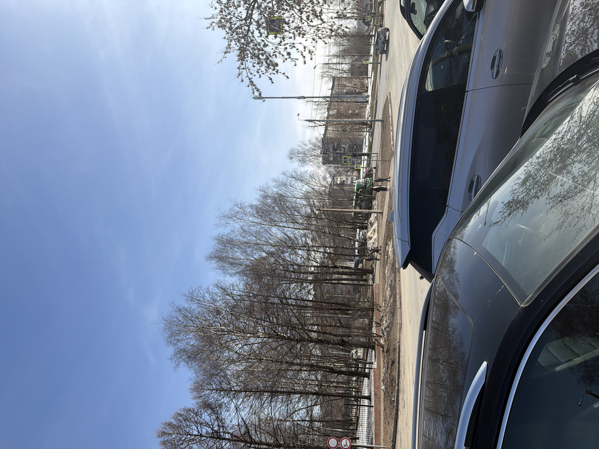 The image shows a street scene in Berezniki, Russia, taken on a sunny day with a clear blue sky. Bare trees line the street adjacent to a sidewalk. Several pedestrian crossing signs with yellow backgrounds are visible. Cars are parked on the right side of the frame, partially obscuring the view. Some snow remnants are present on the ground. A fenced area runs parallel to the trees. The overall impression is of a quiet residential or suburban neighborhood.