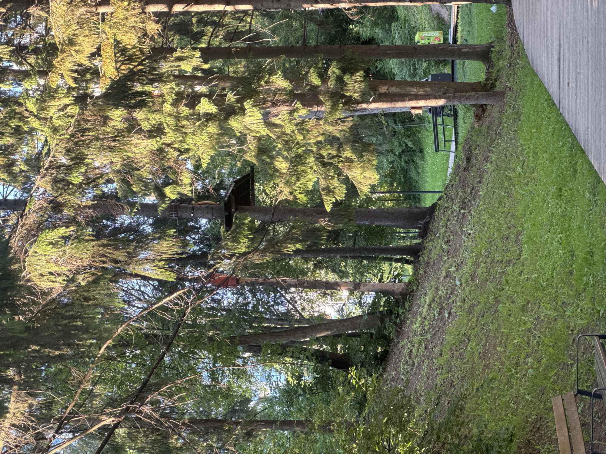 This image depicts a park scene, likely in Izhevsk, Russia, featuring a ropes course set up between trees. The foreground shows a wooden boardwalk curving to the right, with a portion of a wooden bench visible on the lower left. The middle ground consists of a grassy, sloped area leading up to a cluster of trees. Prominently featured among the trees is a section of the ropes course, including a platform suspended at mid-height and what appears to be a person in a red safety vest on a zipline. In the background, more trees and foliage are visible, with hints of buildings through the trees. Benches and some park amenities are also present further back. The lighting suggests it is late afternoon or early evening, with sunlight filtering through the trees, creating shadows and highlighting the foliage.