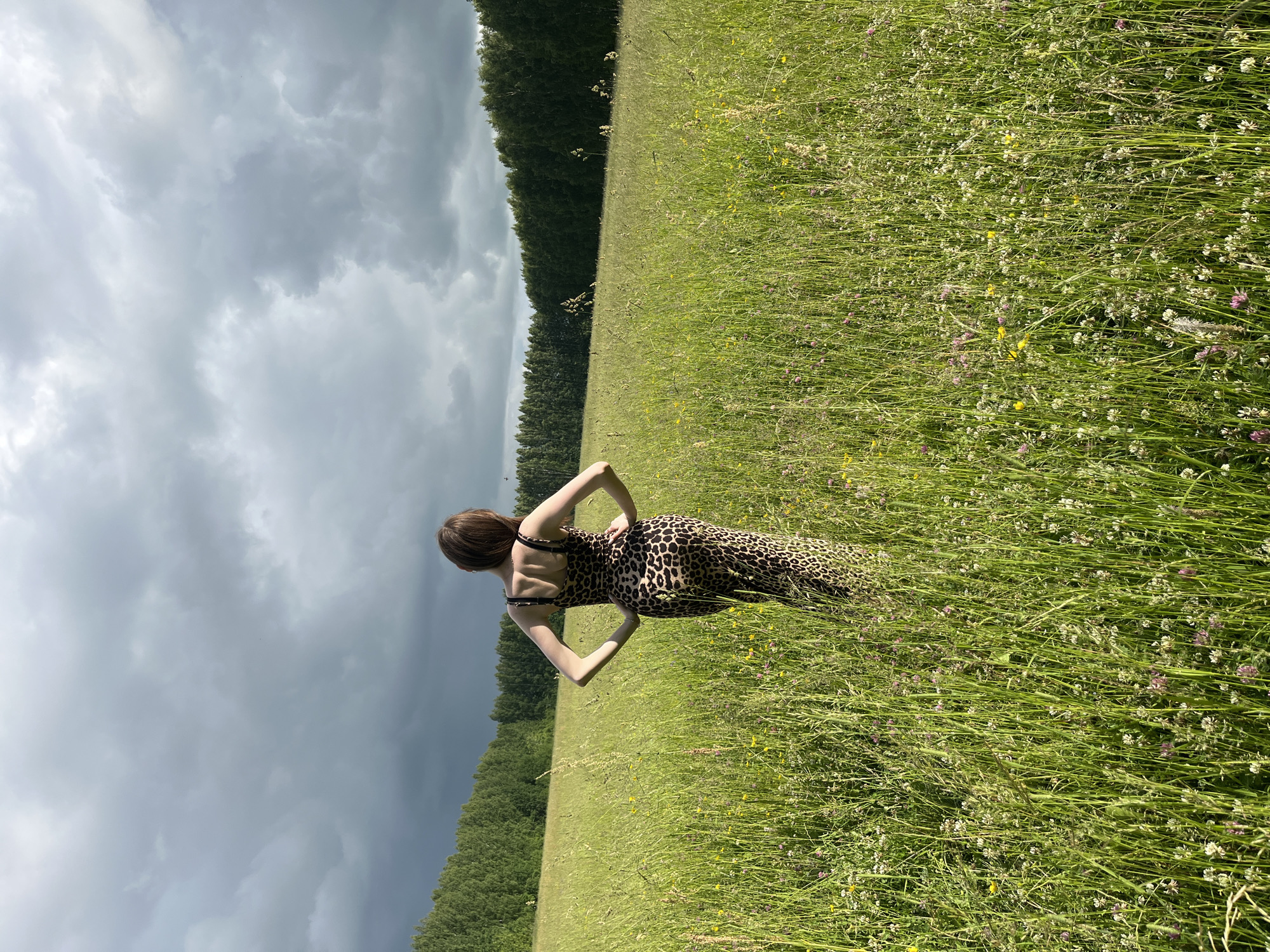 A woman stands in a field of tall grass, facing away from the camera. She is wearing a long, leopard-print dress and has her hands on her hips. The field is full of wildflowers, and a line of trees forms the horizon in the background. The sky above is cloudy and dark, suggesting an approaching storm. The scene appears to be set in a rural area, possibly the outskirts of Большой Гондыр, Russia.