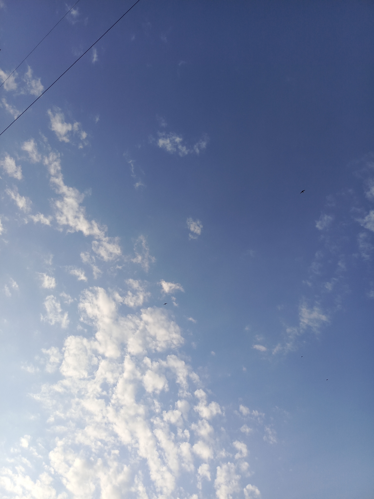 The image shows a blue sky with scattered white clouds. There are two birds flying in the sky, and a power line is visible in the upper left corner. The location in Chaikovsky, Russia is not ascertainable from the image.