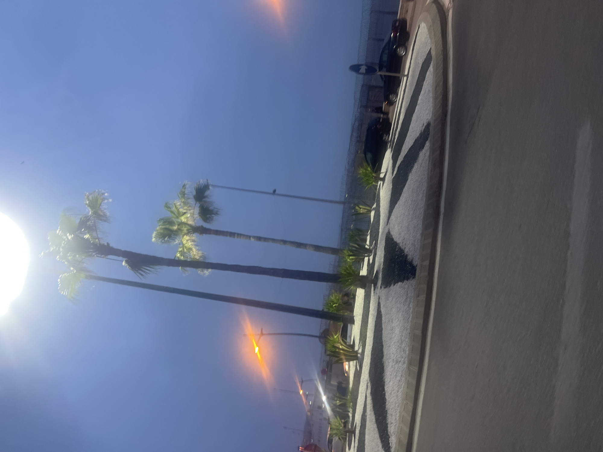 The image captures an outdoor street scene at twilight, with the camera tilted, making the horizon appear diagonal. A very bright light source, likely the sun setting or rising, dominates the left side, causing lens flare and illuminating the fronds of several tall palm trees that line the street. The sky is a clear, deep blue.
Along the street, a distinctive sidewalk features a geometric pattern of black and light-colored squares or abstract shapes. Parallel to the sidewalk, a paved road stretches into the distance, marked by a white line. On the far side of the road, a low wall is visible, with sections topped by what appears to be barbed or razor wire. Several dark cars are parked alongside this wall.
Further down the street, multiple artificial streetlights are active, emitting bright yellow-orange light that contrasts with the ambient blue light. A blue circular road sign with a white arrow pointing upwards is visible on a pole near the parked cars. No individuals are clearly discernible. The scene, consistent with the Fnideq, Morocco context, conveys a tranquil moment during the transition between day and night.