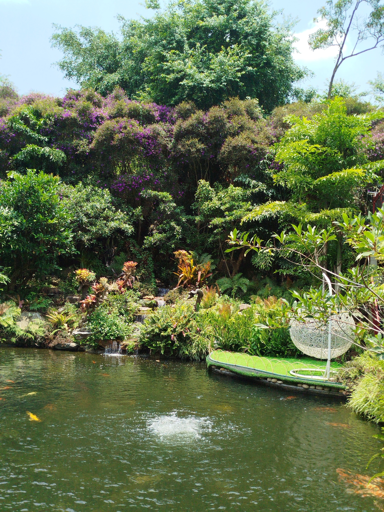 This vibrant daytime photograph captures a lush, ornamental garden with a tranquil pond, situated in Păng Tiêng 1, Vietnam. The scene is dominated by a diverse array of vibrant green foliage and flowering plants, bathed in clear, bright sunlight under a partly cloudy blue sky.
In the foreground, a dark green pond occupies the lower half of the image. Several bright orange and yellow koi fish are visible swimming beneath the surface, while a small fountain or aerator creates a bubbling effect on the water's surface.
The bank opposite the viewer is densely planted and features a tiered rock formation with small waterfalls cascading into the pond. This section is adorned with various green ferns, leafy shrubs, and striking bromeliads displaying shades of reddish-orange and yellow. Above this, the midground is a rich tapestry of green trees and shrubs, notably including a large patch of plants with brilliant purple blooms, adding a splash of color to the verdant landscape.
To the right of the pond, a small, artificial section extends into the water, covered with bright green artificial turf and bordered by a low, curved white railing. On this platform rests a large, spherical, open-weave white decorative object, possibly a lantern or abstract art piece.
The background is filled with tall, dense trees and foliage, enhancing the sense of a well-maintained, serene natural environment. No people or visible text are present, and the overall atmosphere is one of peaceful beauty.