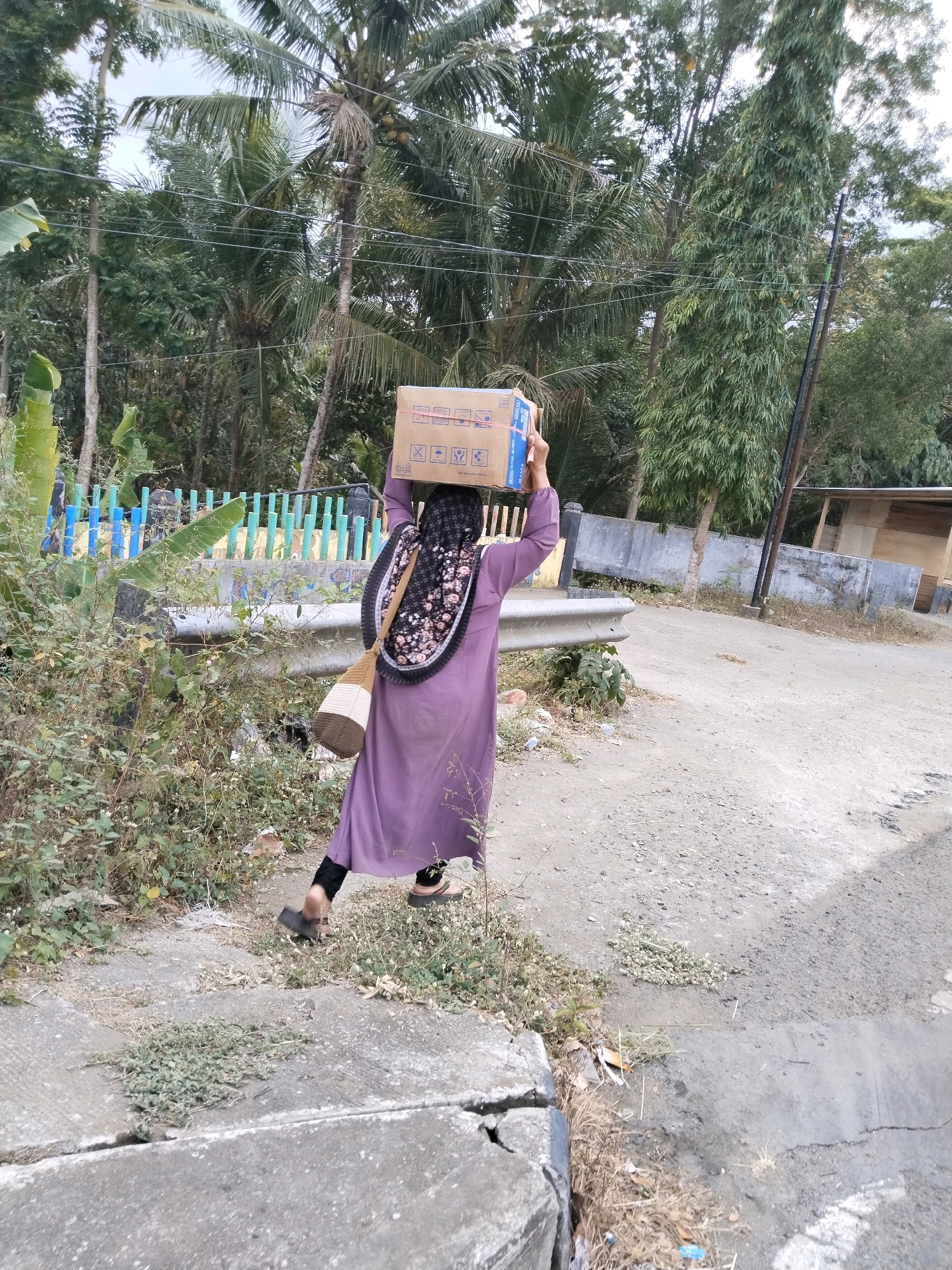 In Tasikmadu, Indonesia, a person wearing a purple abaya and a black and floral headscarf carries a large cardboard box on their head. The box is light brown with blue tape and some text and symbols printed on it. A woven bag with brown and cream stripes hangs over the person's right shoulder. The individual is walking on a dirt path next to a road, with lush green vegetation and trees in the background. A low, vibrantly colored fence made of alternating blue and green vertical poles is visible behind the person. A gray metal guardrail runs parallel to the road. The environment appears to be outdoors with a dry, dusty terrain.