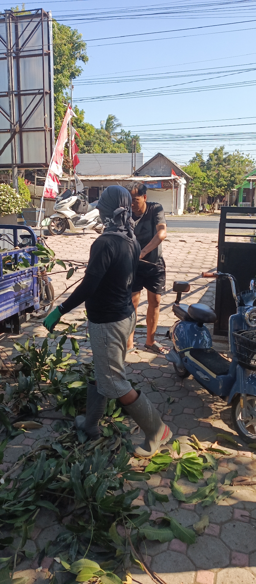 Two individuals are working outdoors in Arjasa, Indonesia, on a paved area with interlocking hexagonal and rectangular bricks. The scene appears to be near a commercial area, with buildings and a large billboard visible in the background. One individual, wearing a grey headscarf, black long-sleeved shirt, plaid shorts, and grey rubber boots, is standing with their back to the camera, holding a green-gloved hand over a pile of leafy branches. The other individual, wearing a black t-shirt and dark shorts, is facing the first person, appearing to be in the process of tending to the branches. A blue motorized tricycle, a white scooter, and a blue electric scooter are present in the vicinity. The environment is sunny, with clear blue skies and some trees visible.