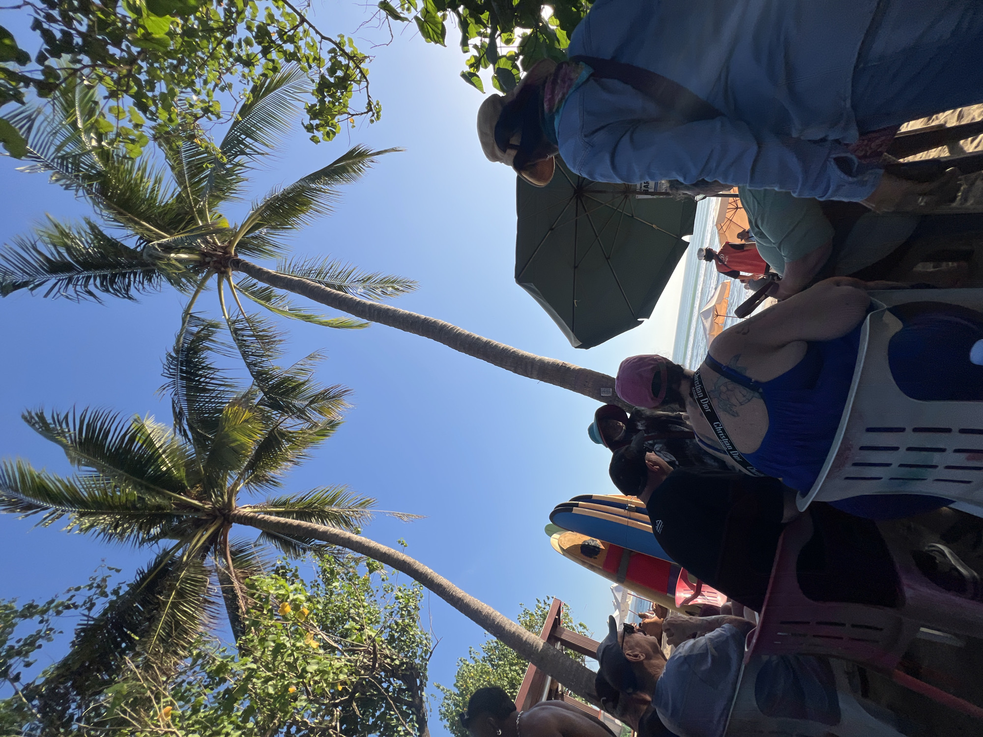 An eye-level, ground-level outdoor shot captures a group of people gathered on a beach in Kuta, Indonesia, on a clear, sunny day. Two tall palm trees with their fronds extending towards the bright blue sky dominate the upper portion of the frame. Below, several people are seated on chairs facing away from the camera, some under the shade of a large green umbrella. To the left, a collection of surfboards are propped up against a structure. In the background, the ocean and distant umbrellas are visible. The sand is the predominant ground cover.