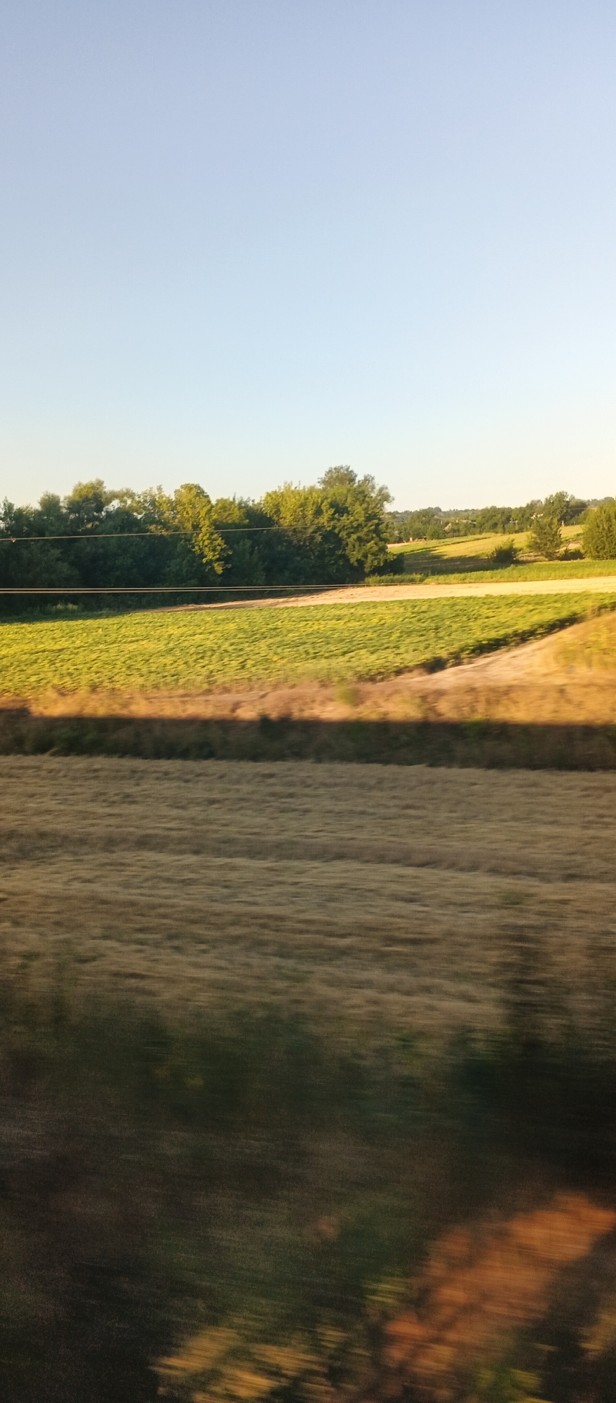 The image depicts a rural landscape under a clear, light blue sky. In the foreground, a field of dry, golden-brown grass is visible, with horizontal streaks indicating motion blur, suggesting the photograph was taken from a moving vehicle. Beyond this field, a strip of dry vegetation separates it from a vibrant green field, likely crops, which stretches towards a line of trees. These trees form a dense green border, with some appearing lighter due to sunlight. Further in the distance, the landscape continues with rolling hills covered in trees and fields, bathed in the warm glow of what appears to be late afternoon or early morning sun. The scene is devoid of any people, structures, or specific landmarks that would definitively place it in Dyrdyn, Ukraine. The image captures a serene agricultural vista.