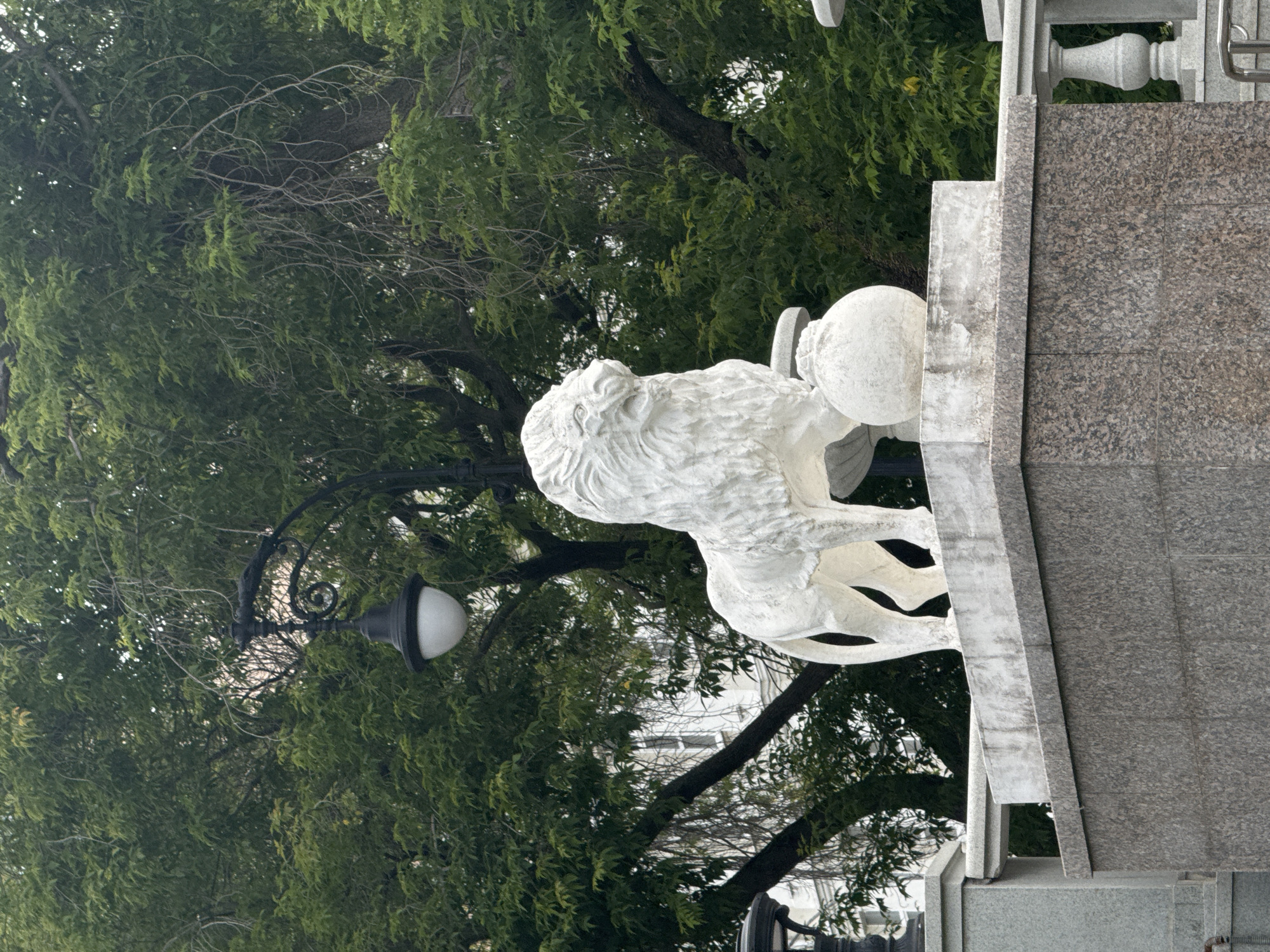 A white stone lion sculpture stands on a granite pedestal in front of a dense green tree canopy. The lion is depicted in a standing pose, with its front paws resting on a rounded object, possibly a ball or urn. A street lamp with a white globe hangs to the left of the sculpture, partially obscured by tree branches. The background consists of a building with visible windows and a railing. This sculpture is located at the entrance to the Yekaterinburg Museum of Fine Arts.