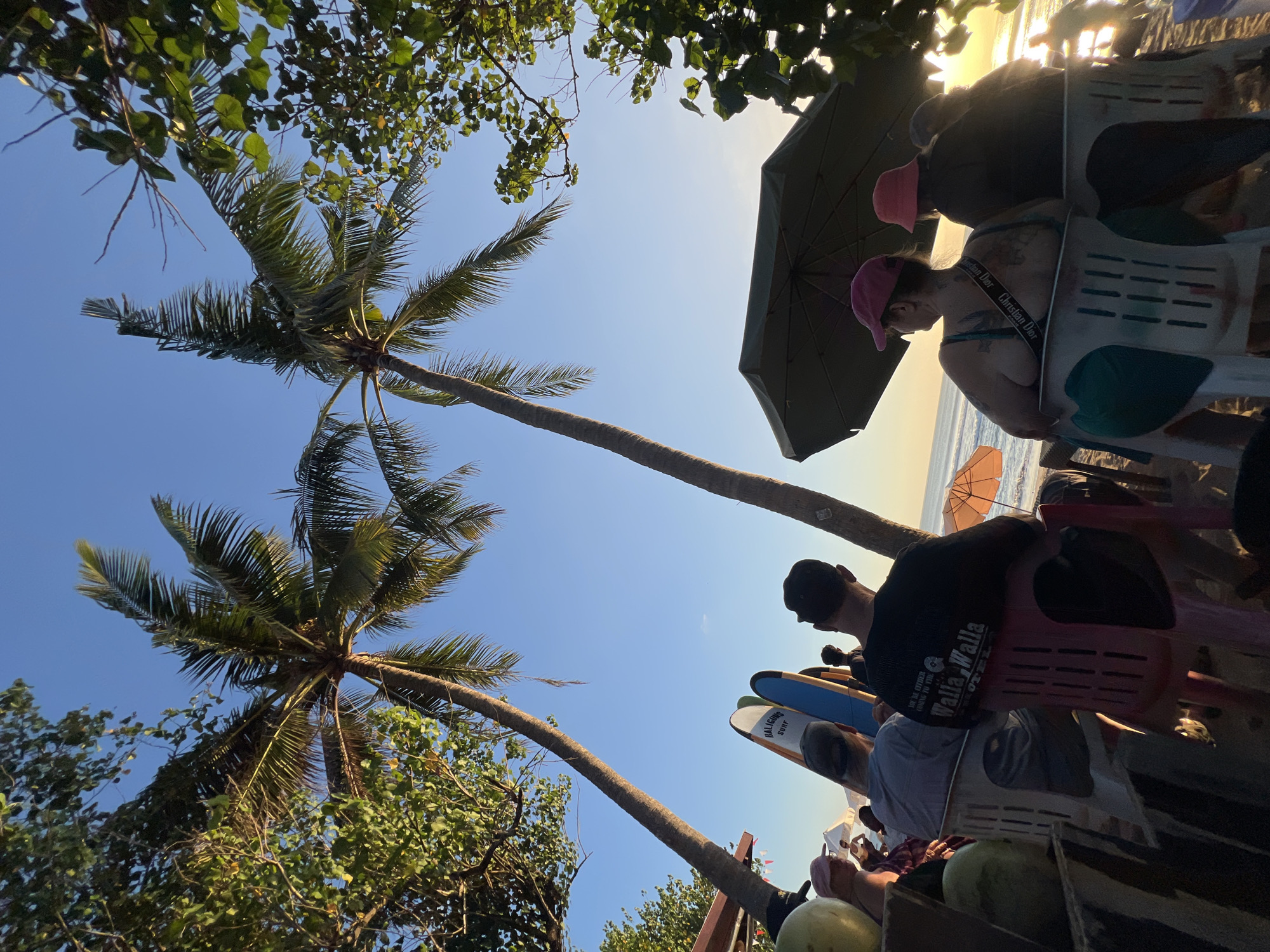 This is a horizontal, medium shot, outdoor photograph of a beach scene in Kuta, Indonesia. The image is taken from a low angle, looking up towards two palm trees and the sky. The sky is a clear blue. The foreground is a beach with several people sitting in chairs. One person in the foreground is wearing a black t-shirt with "Walla Walla Surf Hotel" printed on the back. Another person is wearing a pink baseball cap and a teal top. Behind them are two surfboards, one blue and one white with orange trim, propped up against a railing. There are also some coconuts on display in the lower left corner of the image. In the background, the ocean can be seen with gentle waves. The sun is setting, casting a warm glow on the water and the beach. The overall impression is one of relaxation and a tropical vacation.