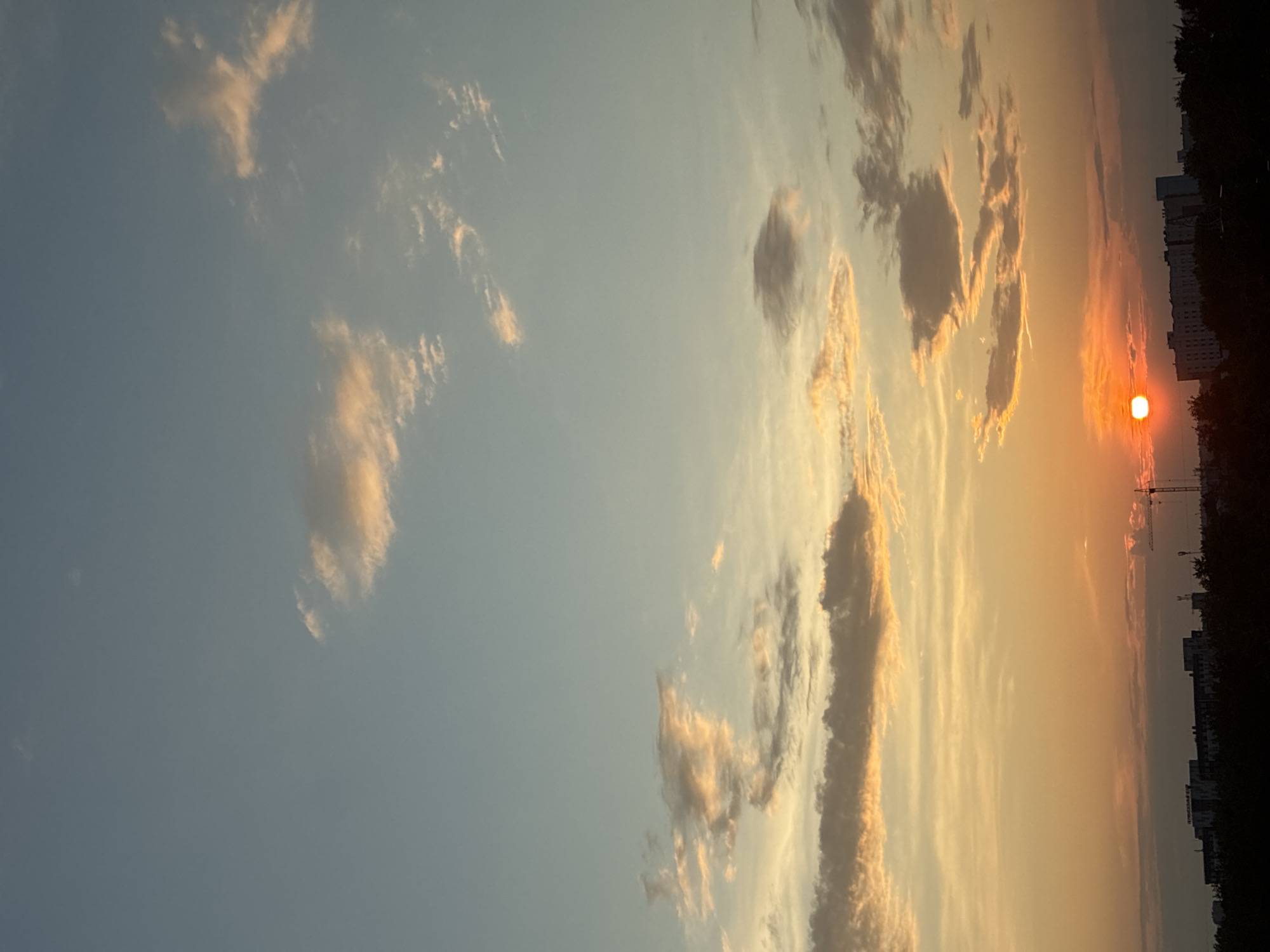 An outdoor, vertical, eye-level shot captures a sunset scene above a city skyline. The sky transitions from a pale blue at the top to a vibrant orange and yellow near the horizon. Scattered clouds, tinged with pink and orange, dot the sky. The sun, a bright orange orb, is partially visible near the bottom center of the frame, appearing low on the horizon. Below the sky, a silhouetted tree line forms the foreground, obscuring the lower portion of buildings that rise behind it. A crane, characteristic of construction sites, is visible on the right side of the skyline, alongside several indistinct buildings. The overall impression is a serene, urban sunset.