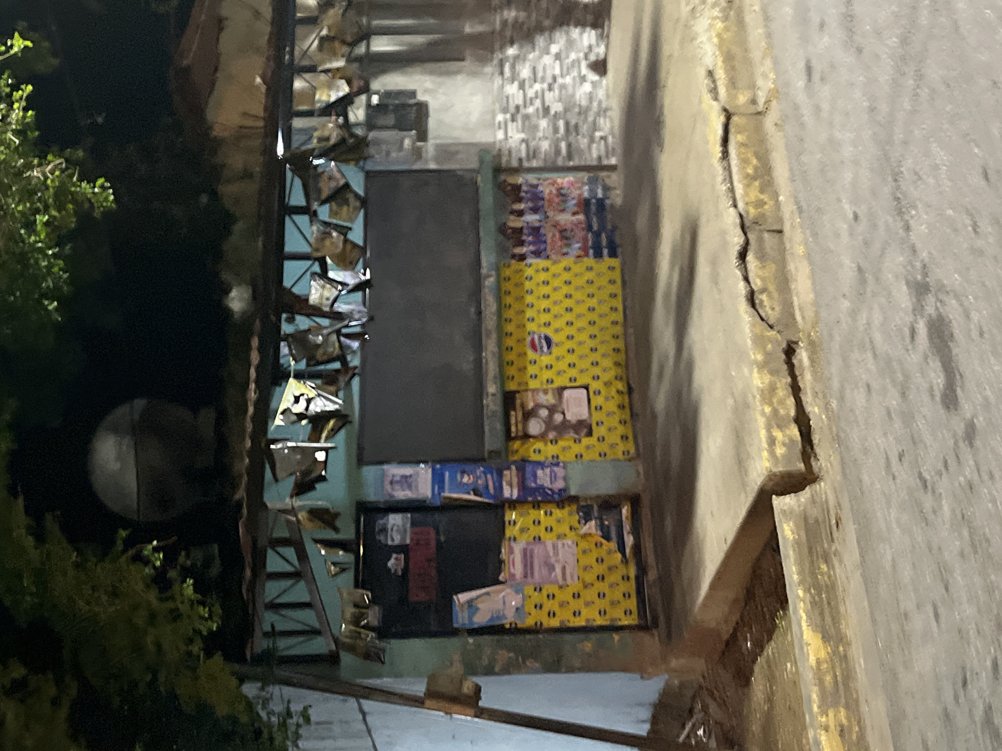 The image depicts a street-level view of a small storefront at night, in what is identified as the city of Santa Ana, Venezuela. The storefront has a light blue facade and is covered with yellow and patterned material. Various posters and signs are affixed to the walls and the door. Some of these appear to be advertisements, including one with the Pepsi logo. There are also what look like hanging decorations above the storefront. To the left, a metal pole and a light-colored box are visible. The ground in front of the storefront is a concrete slab, which then slopes down to a cracked concrete curb and a paved street. Trees with green foliage are visible in the upper portion of the image, against a dark night sky. There are no people visible in the frame.