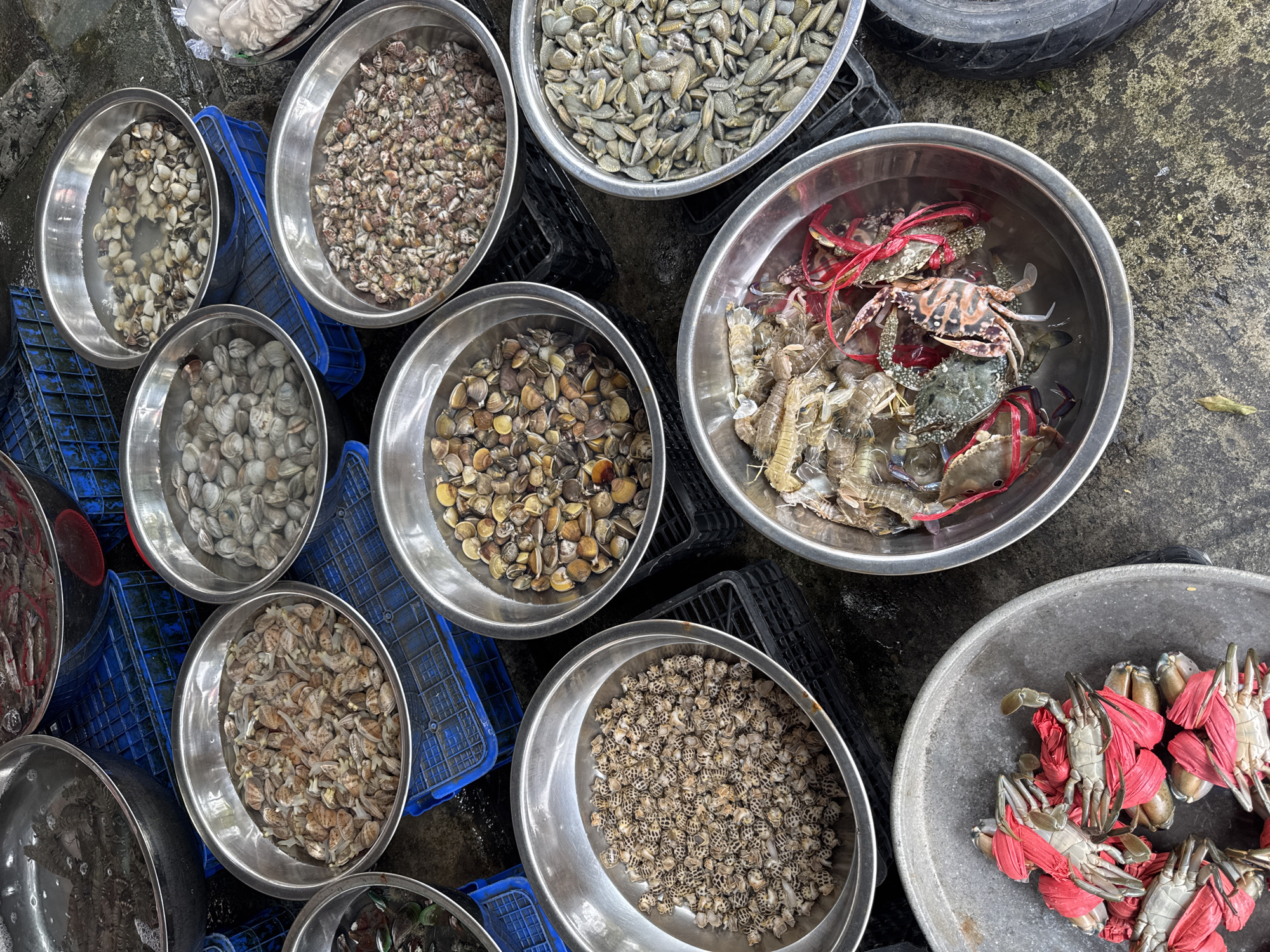 The image presents an overhead view of a seafood market scene. The composition is dominated by an assortment of metal bowls and trays filled with various types of shellfish and crustaceans. Some bowls contain clams submerged in water, others hold small, patterned snails. A particularly large bowl is filled with prawns and crabs tied with red string. Several blue plastic crates are visible, suggesting organization and transportation of the seafood. The background features a grey, concrete surface, likely a floor, and a partial view of a tire is visible at the top. The scene seems to be set in a humid, open-air market, given the moisture and the type of seafood on display. The location may be in the city of Đà Nẵng, Vietnam, as the types of seafood displayed are common in that area.