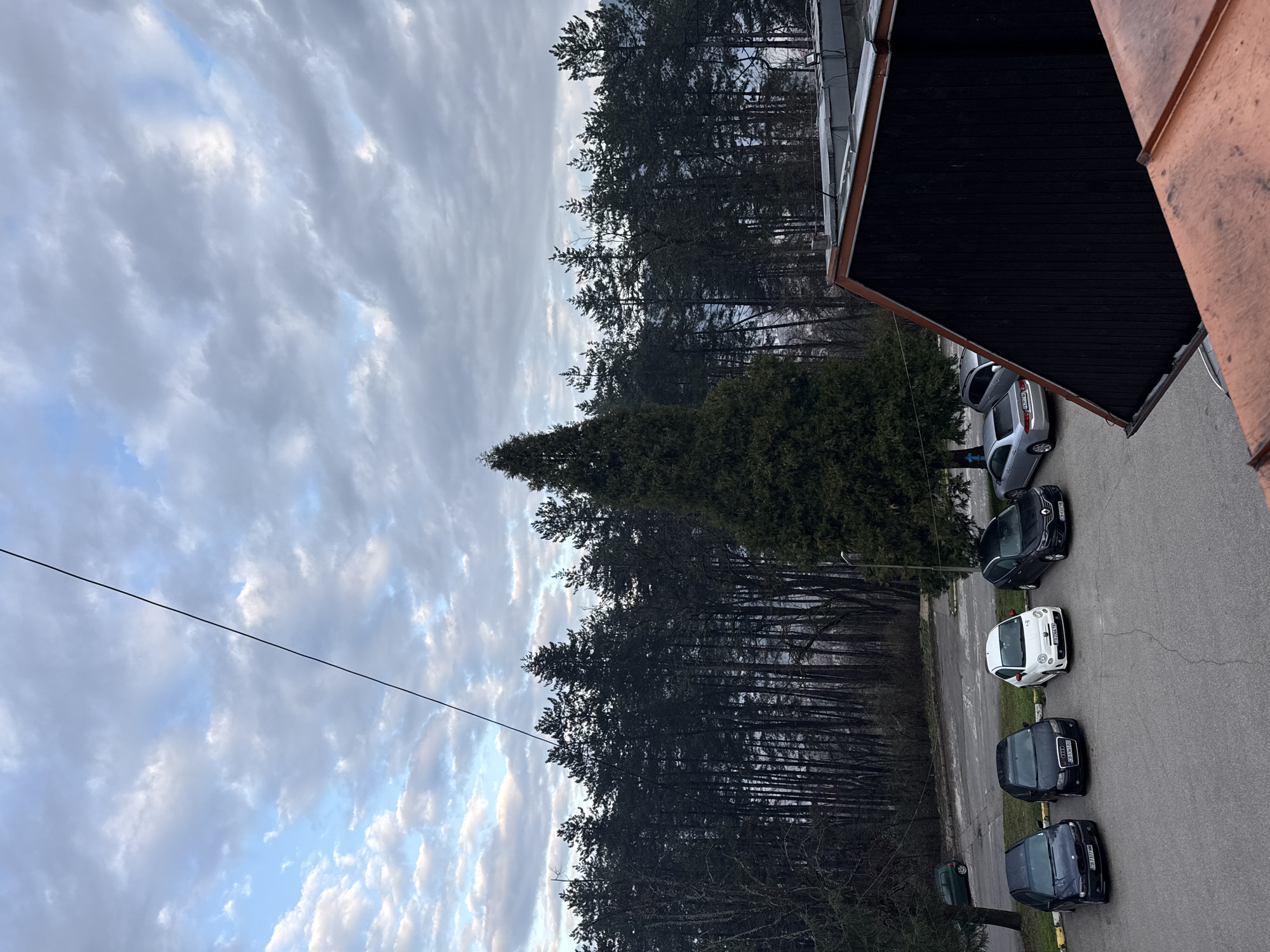 The image depicts a view from a building overlooking a street in Etropole, Bulgaria. A line of parked cars is visible along the right side of the road. The cars appear to be of different makes and models, including a white compact car. Beyond the road, a dense forest stretches toward the horizon under a cloudy sky. A utility wire runs across the sky. The edge of a building is visible at the top right of the image.