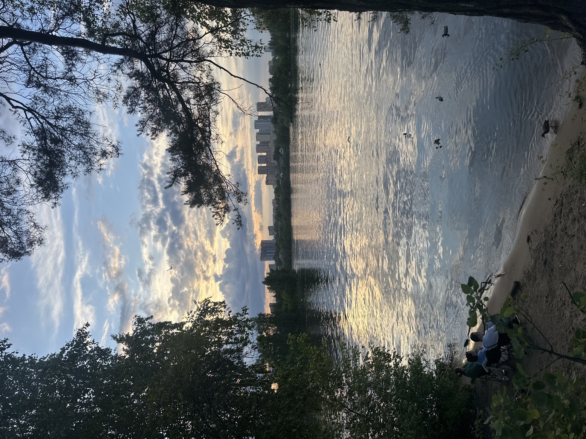 This image captures a serene landscape at what appears to be the golden hour or late afternoon. The scene depicts a wide body of water, likely a lake or river, stretching horizontally across the middle of the frame, bordered by trees in the foreground and a distant cityscape on the opposite bank.
The sky is a prominent feature, filled with a mix of light blue patches and dramatic, swirling clouds illuminated by the low-hanging sun, casting warm golden and orange hues alongside softer grays and whites. These vibrant sky colors are beautifully reflected on the rippling surface of the water, creating streaks of light. Several ducks are visible, swimming calmly on the water.
In the distance, a line of tall, modern residential or office buildings stands against the horizon, indicating an urban or suburban setting. Lush green trees, some with dense foliage and others with more sparse, branchy structures resembling pines, frame the scene from the foreground and sides, creating a natural canopy.
On a sandy or dirt bank on the right side of the image, partially obscured by foreground foliage, a small group of people (at least two or three) are visible. They appear to be sitting or resting by the water's edge, one wearing a light-colored top. The overall atmosphere is peaceful and tranquil, suggesting a moment of relaxation by nature, despite the proximity to a city. No visible text is present in the image. The location is consistent with an urban park or waterfront area in Moscow, Russia.