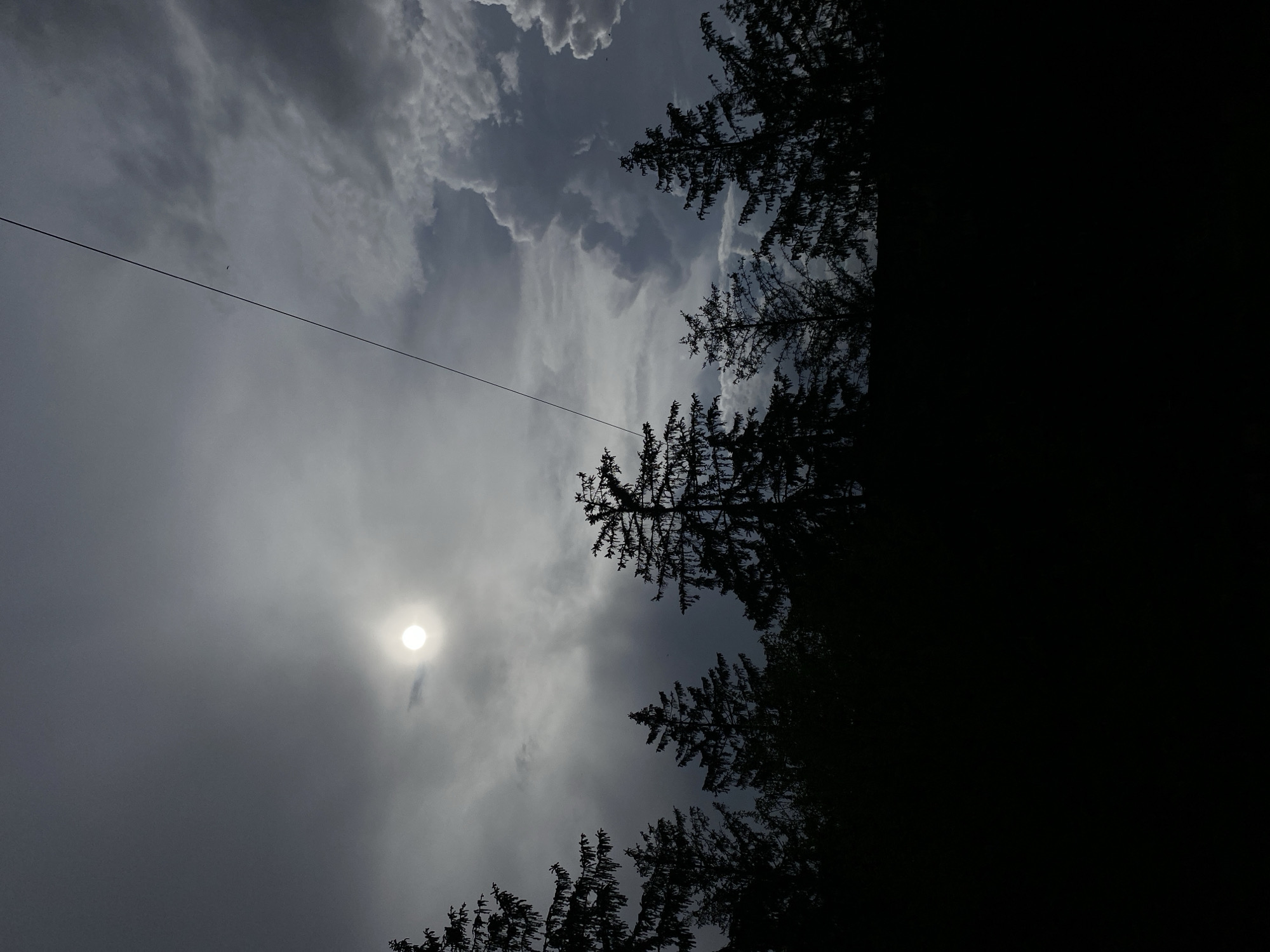 A low-angle shot of a cloudy sky, with trees in silhouette along the upper and lower edges of the frame, and a bright sun obscured by clouds. A thin wire extends diagonally across the sky, and a small bird is perched on the wire. The location is Unknown, Unknown.