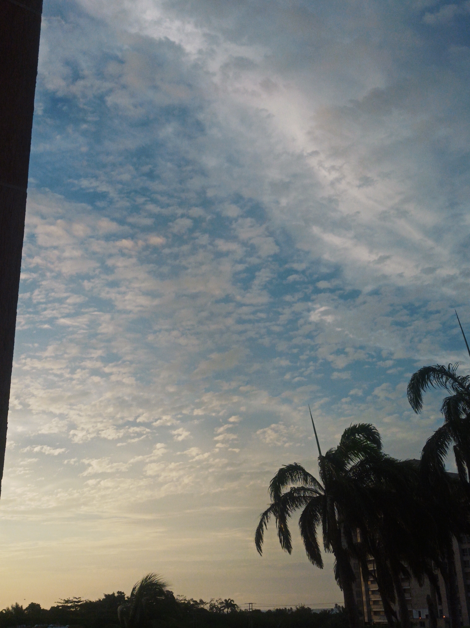 The image presents a serene sky scene, likely captured during either sunrise or sunset due to the soft, warm light gradient near the horizon transitioning to a cooler blue higher in the sky. The predominant subject is the sky, filled with a beautiful pattern of scattered white and light grey clouds, possibly altocumulus or stratocumulus, creating a textured overhead canopy. Some more elongated, wispy clouds are also visible, particularly in the upper right quadrant.
In the immediate foreground, a dark, vertical structure, possibly the side of a building or a wall, occupies the left edge of the frame, partially obscuring the view. To the right, several tall palm trees are dramatically silhouetted against the bright sky, their fronds appearing dark and distinct. Their sharp, upward-pointing leaf stems are noticeable.
Below the horizon, a dark, indistinct band of land is visible, suggesting a distant landscape of trees and possibly some low-rise buildings, also silhouetted against the lighter sky. The overall impression is one of tranquility and natural beauty, consistent with a tropical or coastal setting like Porlamar, Venezuela. There is no specific activity taking place, and no visible text within the image. The scene evokes a calm and peaceful atmosphere.