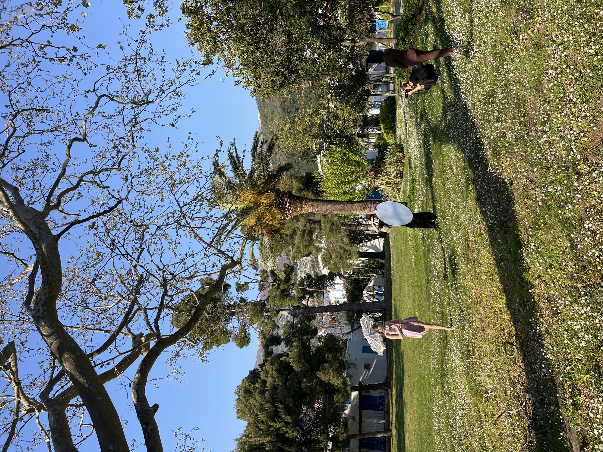 In Budva, Montenegro, an outdoor scene unfolds on a grassy lawn dotted with small white flowers. A young girl in a pink dress stands with a white parasol, while a photographer kneels nearby, taking pictures. A circular reflector is held by someone standing next to a palm tree. Buildings and trees frame the background, with a mountain visible in the distance against a clear blue sky.