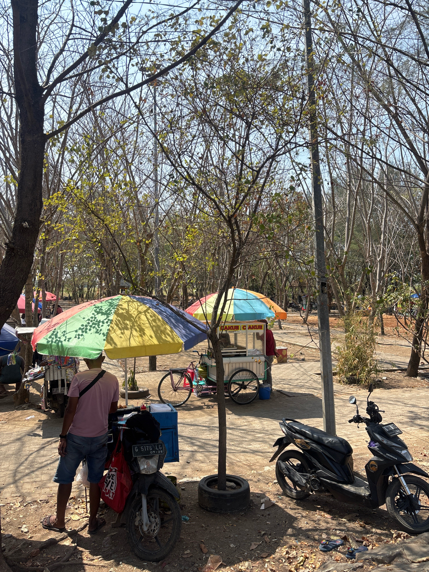 The image depicts a daytime scene at a marketplace or roadside rest area in Kaligangsa Wetan, Indonesia. The environment is characterized by a dusty, unpaved ground covered with scattered leaves and small stones, and numerous trees with bare branches and sparse foliage, suggesting a dry season. A paved path runs through the scene.
In the foreground, a man wearing a pink t-shirt, denim shorts, and sandals stands next to a parked motorcycle. The motorcycle, black with a red bag hanging from the handlebars and a license plate reading "G 5176 LG", is positioned in front of a blue cooler box.
To the left, a colorful umbrella, segmented in green, yellow, blue, and red, is open over a food cart. Another similar cart with a blue and orange umbrella is visible further back, with a person in a red shirt standing near it. A pink bicycle is parked near the cart with the yellow and blue umbrella.
In the midground and background, more trees and scattered food carts or stalls are visible, along with additional parked motorcycles. The overall impression is that of a busy, outdoor vending area amidst a natural, somewhat arid setting.