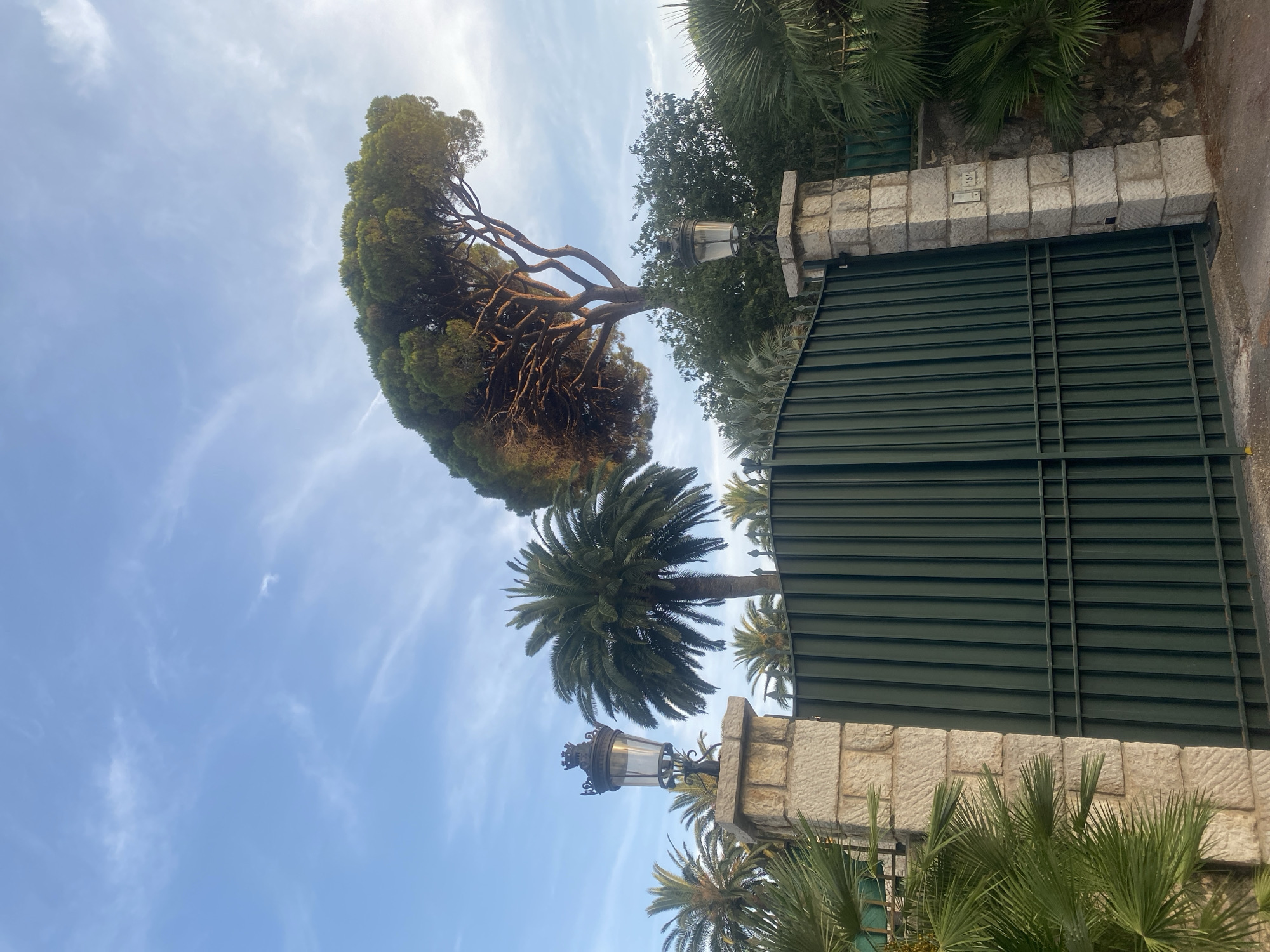 The image shows a large, dark green metal gate flanked by two stone pillars. The pillar on the left has an ornate black lantern on top. The pillar on the right has a mailbox attached to it with the number "161" visible. Behind the gate and pillars, there are various palm trees and other lush green foliage. In the background, a tall pine tree with spreading branches dominates the scene, reaching towards a blue sky with wispy white clouds. The lighting suggests it is late afternoon or early evening. The overall impression is of an entrance to a private property, likely a villa or estate, in a Mediterranean climate, consistent with the city of Antibes, France.