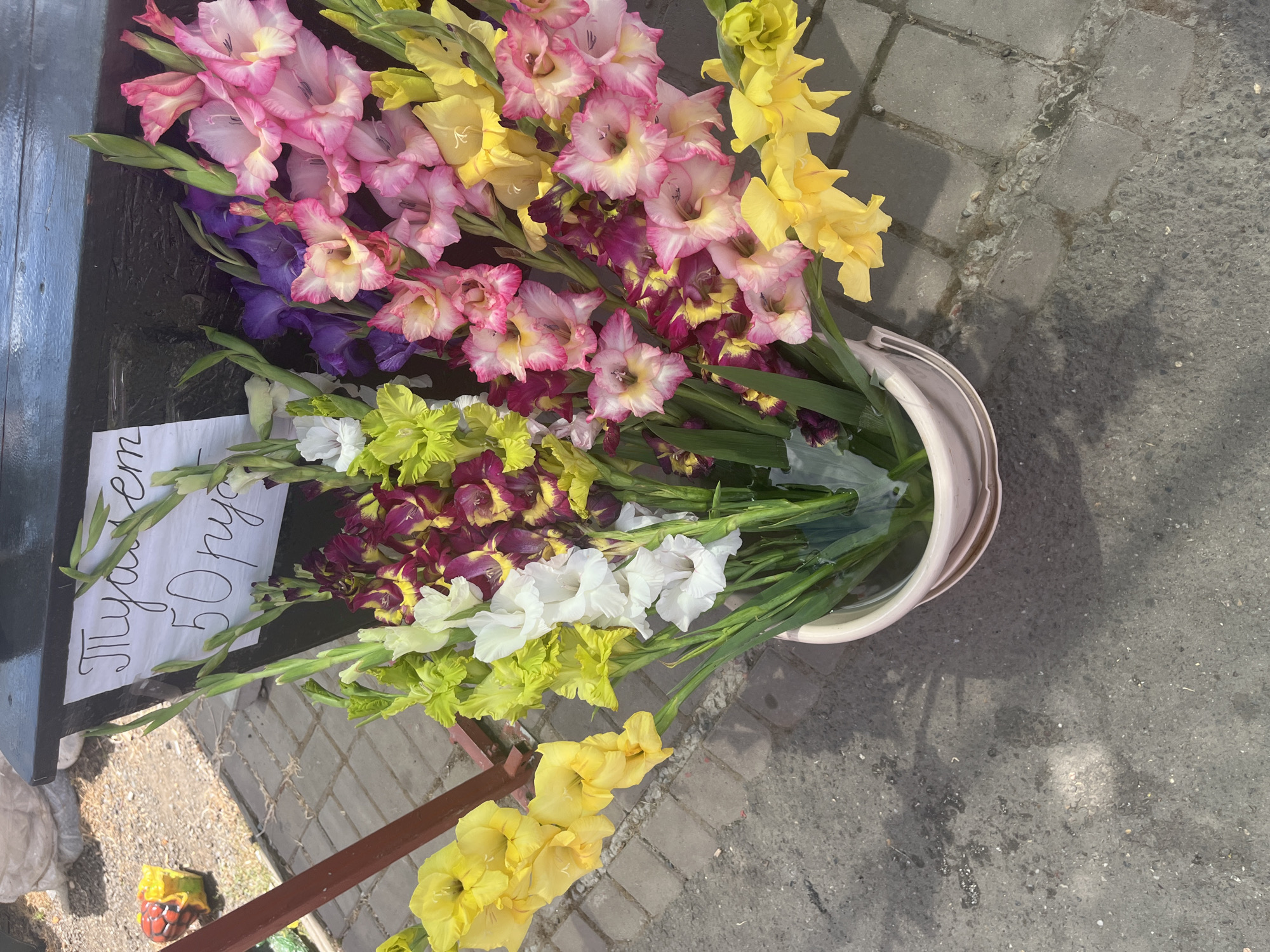 The image shows a large bouquet of gladiolus flowers in various colors, including yellow, pink, white, light green, and purple. The flowers are arranged in a light-colored bucket filled with water, which is placed on a grey paved surface. In the background, a black surface with a sign written in Cyrillic script is visible. The sign has handwritten text that appears to say "Гладиолусы 50 руб." (Gladioli 50 rubles). To the left of the bouquet, a red metal railing is present, and further left, a small, colorful decorative object and some gravel are visible. The overall setting suggests an outdoor market or flower stall, potentially in Plastunovskaya, Russia, given the context provided. The lighting indicates it is daytime, with shadows present on the ground.