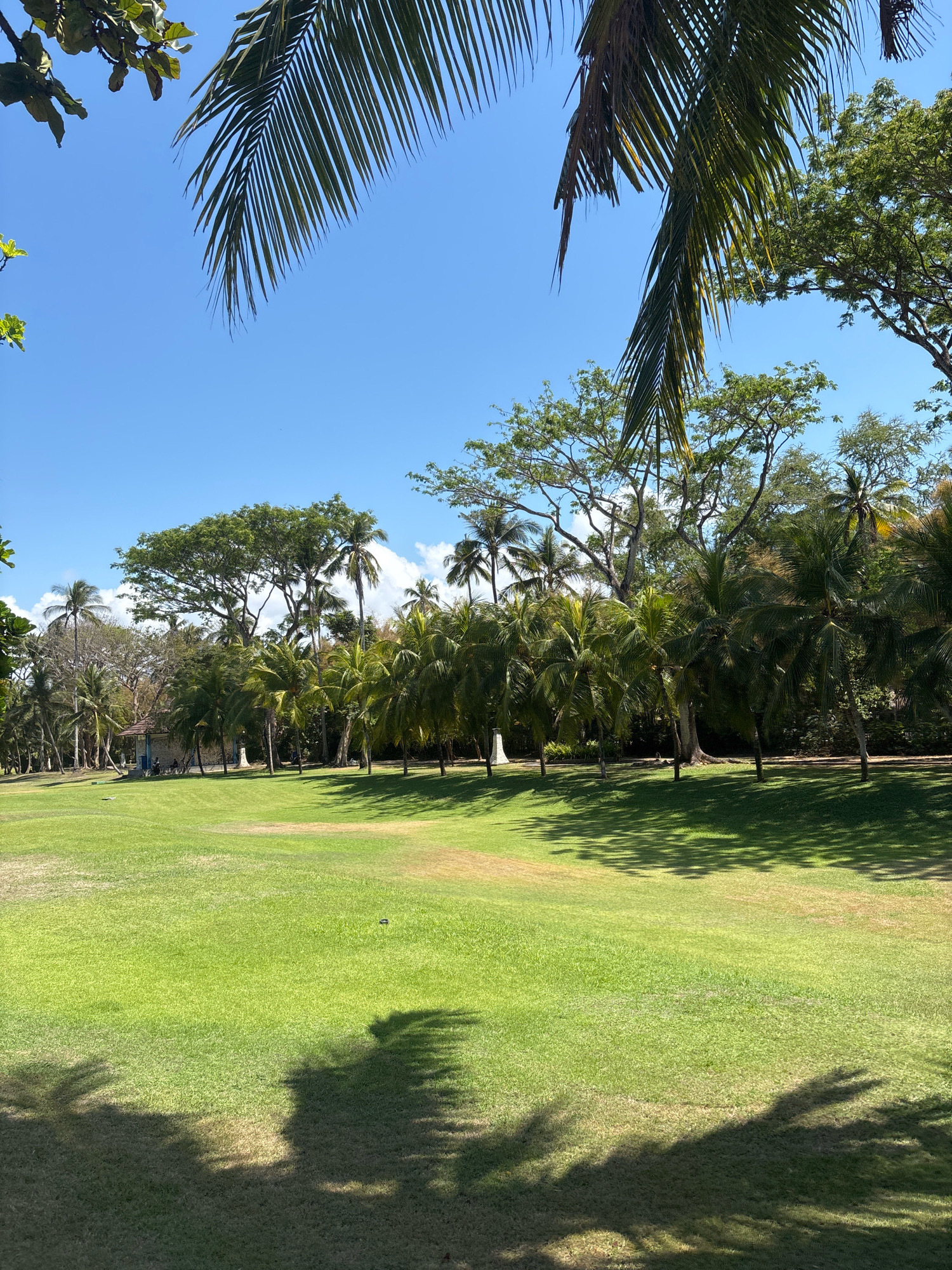 The image depicts a tropical landscape in Kuta Selatan, Indonesia, on a clear, sunny day. A vast expanse of bright green, well-maintained lawn occupies the foreground and mid-ground, casting distinct shadows from palm trees. A line of lush palm trees and other verdant foliage forms a dense border across the mid-ground. Behind the trees, a small, rustic building with a blue roof and stone walls is partially visible. The sky is a vibrant, cloudless blue, with the fronds of several palm trees reaching into the frame from the top. A few people are seated near the building, appearing relaxed in the warm environment. The overall scene evokes a serene park or resort setting.