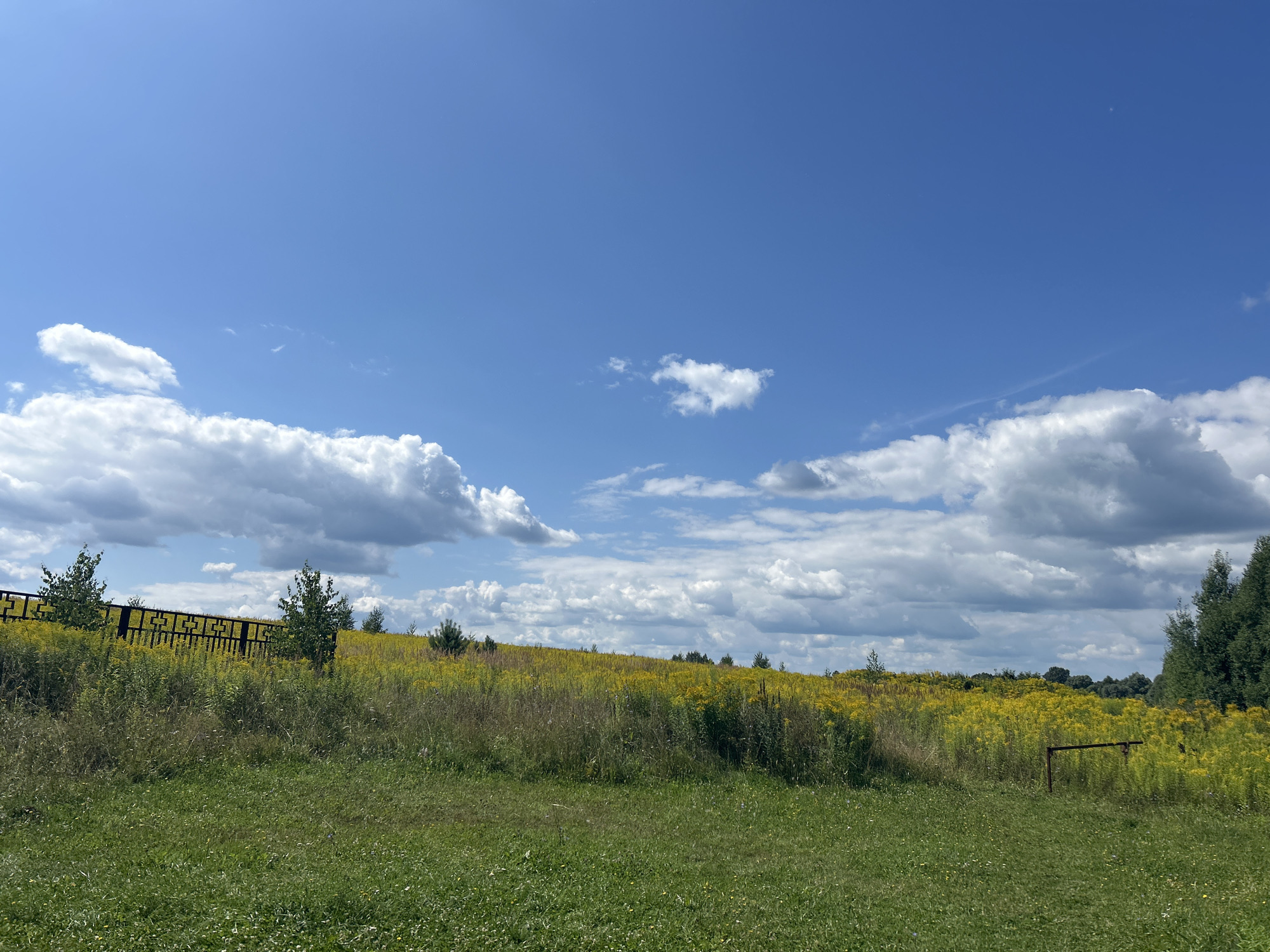 The image depicts a sunny day in a rural or park-like setting. A vibrant blue sky with scattered white cumulus clouds stretches across the upper half of the frame. The lower half features a gentle slope covered in lush green grass in the foreground, leading up to a field of bright yellow wildflowers. A dark, ornate fence runs along the crest of the hill on the left side, partially obscured by a few scattered trees. On the right side of the frame, a simple brown metal structure, possibly a gate or part of a fence, stands amidst the wildflowers. The overall scene conveys a sense of natural beauty and open space.