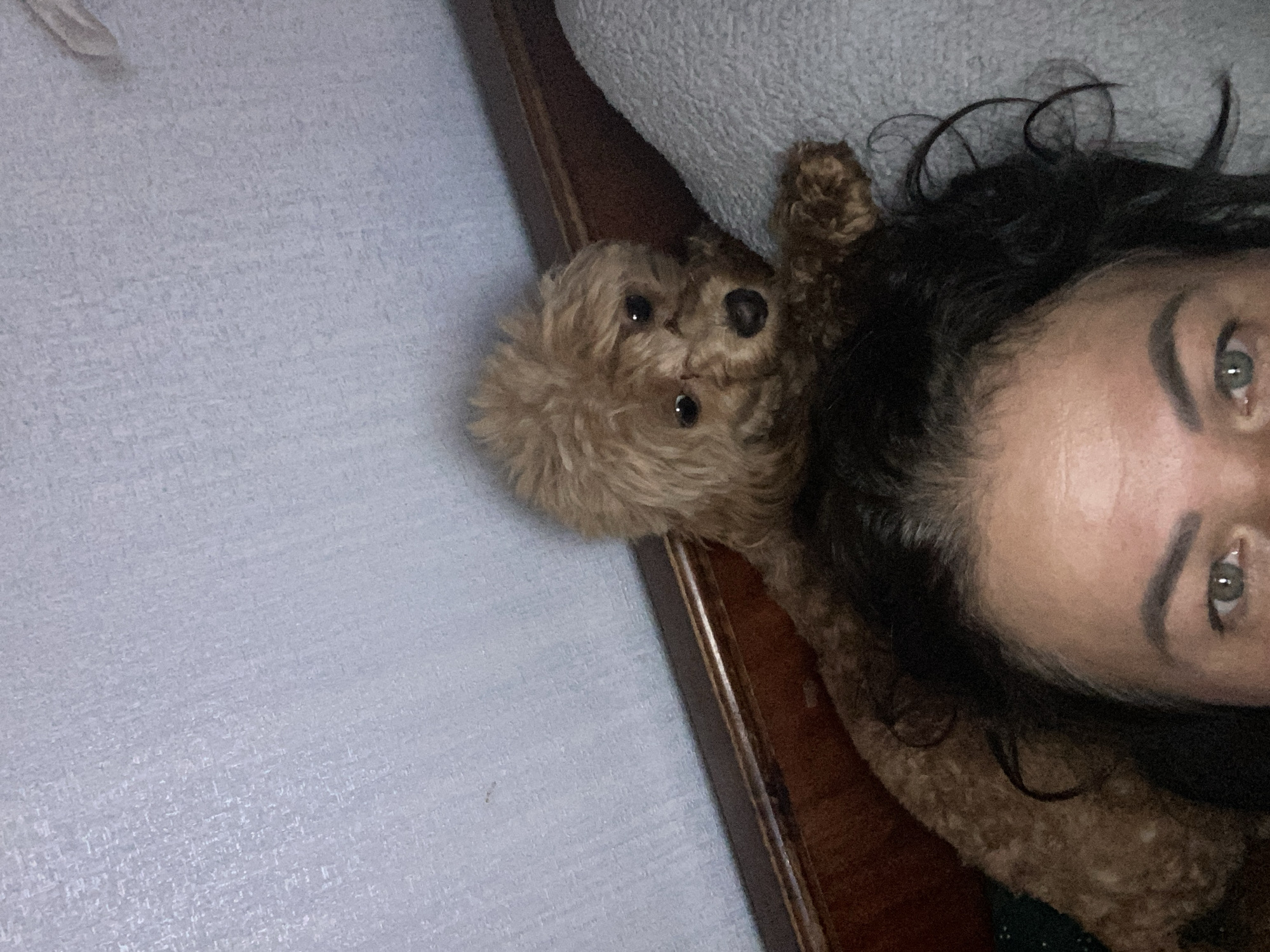 A close-up, overhead, selfie-style shot shows a woman lying down with a small, light brown poodle lying on top of her head and shoulders. The woman's face is partially visible, with her eyes open and looking towards the camera. Her dark hair is spread out around the dog. The background consists of a textured, light blue wall and a dark wooden surface. The poodle is looking towards the camera with its head tilted slightly. The image appears to be taken indoors, possibly in a bedroom, given the presence of a soft, light blue surface that resembles bedding or a blanket. The overall impression is one of intimacy and affection between the woman and her pet. No specific location in Dnipro, Ukraine is identifiable.