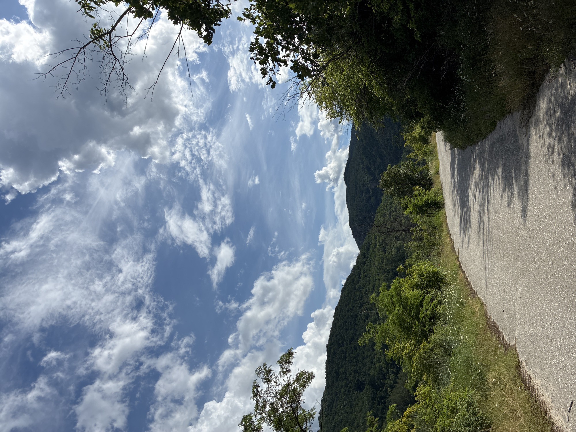 The image depicts a winding paved road curving through a lush, green landscape under a dynamic sky filled with scattered white clouds. The road appears to be an asphalt surface with a light gray texture. To the left of the road, the terrain is covered in dense, verdant foliage and vegetation, with a line of trees and shrubs bordering the roadside. Beyond this, rolling hills covered in dark green forests dominate the mid-ground. The sky above is a bright blue, punctuated by dramatic, fluffy white clouds, some of which are larger and darker, suggesting depth and movement. Bare tree branches, devoid of leaves, extend from the upper right portion of the frame, contrasting with the surrounding green. The overall scene suggests a rural or natural setting, possibly in the vicinity of Hrabrino, Bulgaria, given the mountainous terrain and vegetation. No people or specific structures are visible in the image. The lighting suggests it is daytime, with sunlight casting shadows on the road.